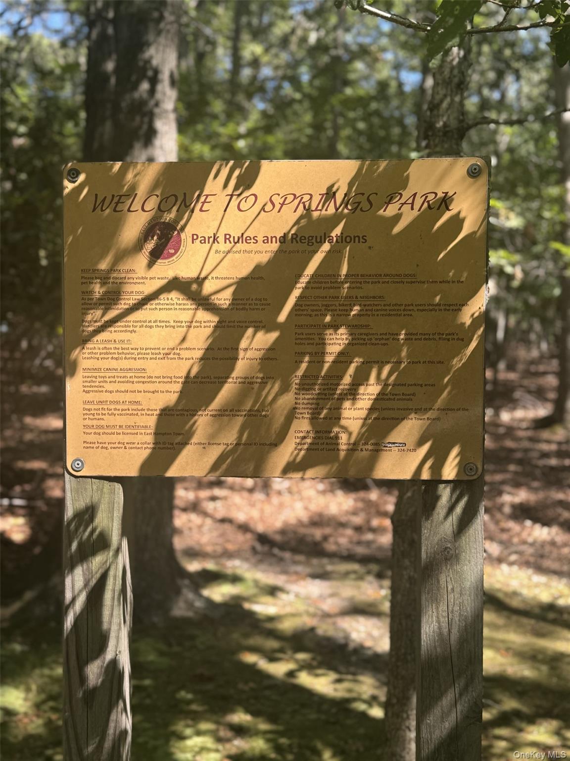 4 Calvin Street, East Hampton, NY 11937