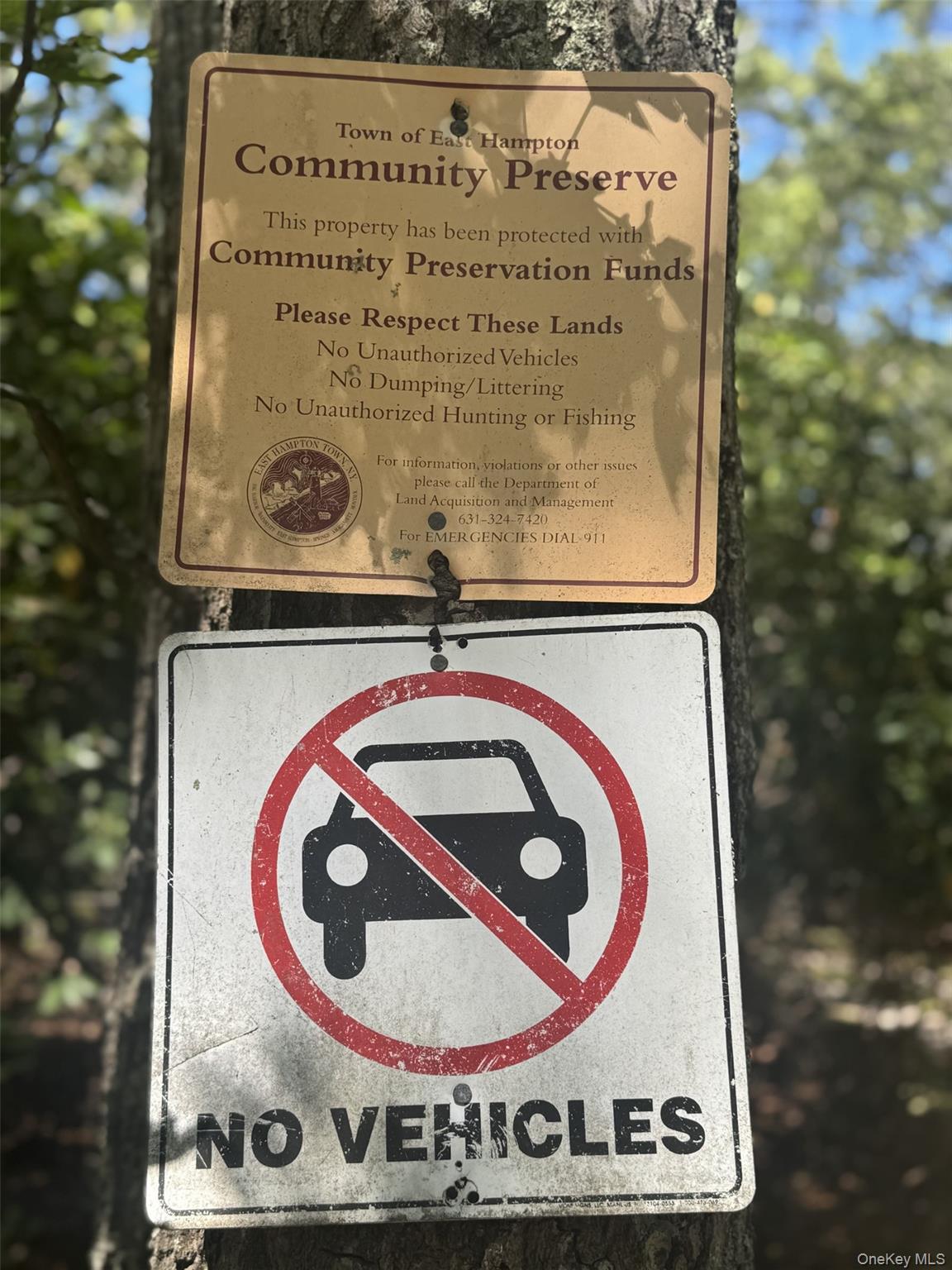 4 Calvin Street, East Hampton, NY 11937