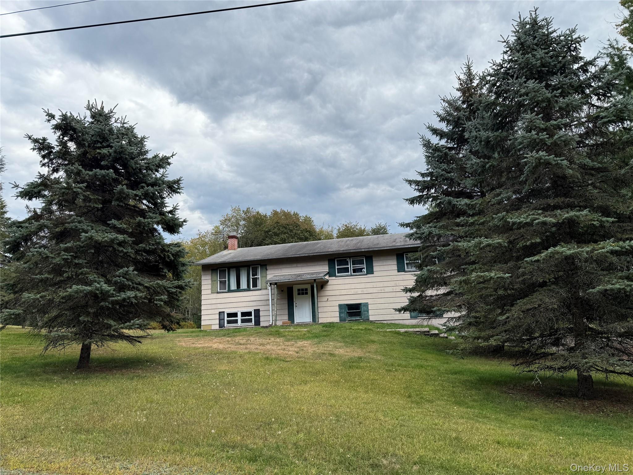 227 Dill Road, Forestburgh, NY 12777