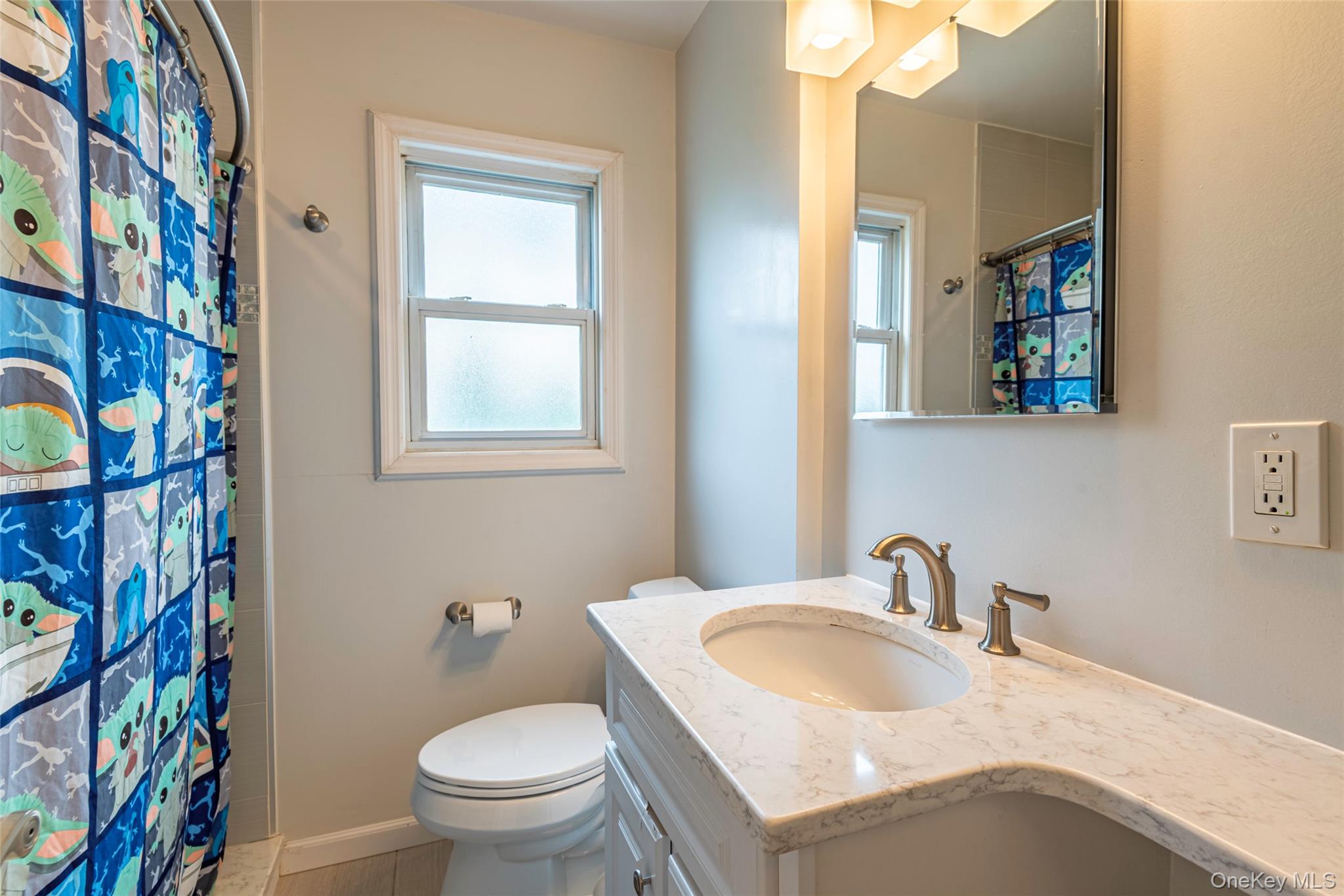 43 Orchid Lane, New Hyde Park, NY 11040