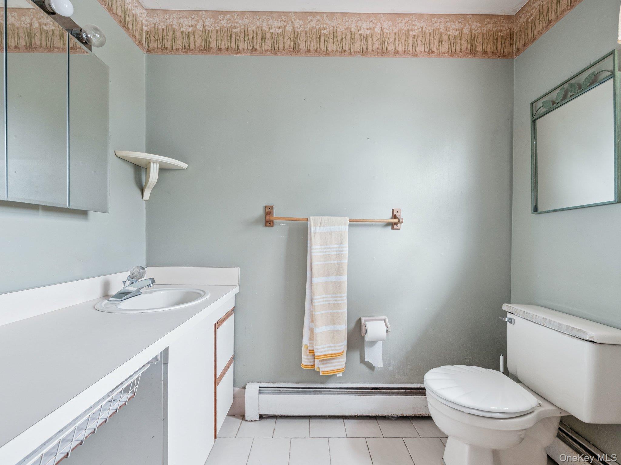 9 Suzanne B Court, Massapequa, NY 11758