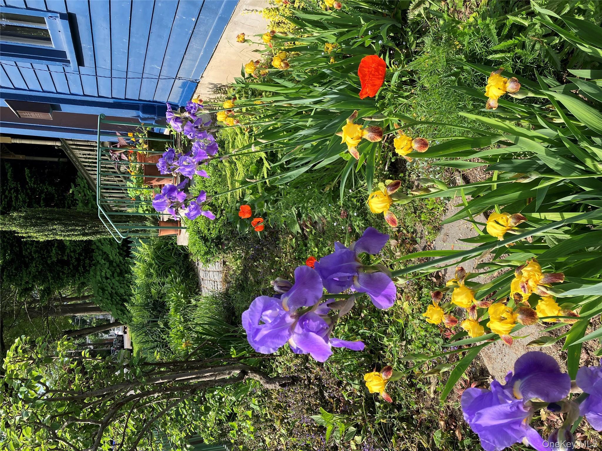 32 Carroll Street, Poughkeepsie, NY 12601