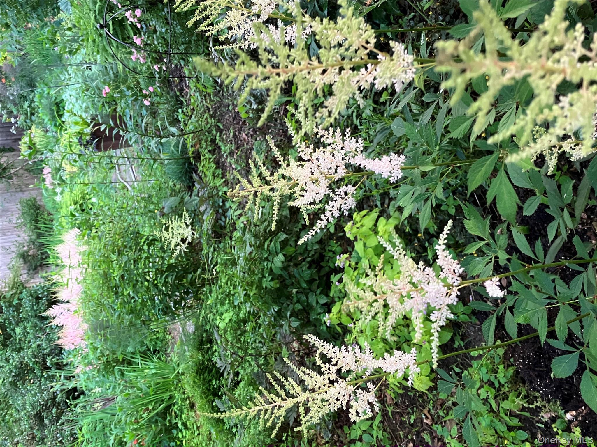 32 Carroll Street, Poughkeepsie, NY 12601