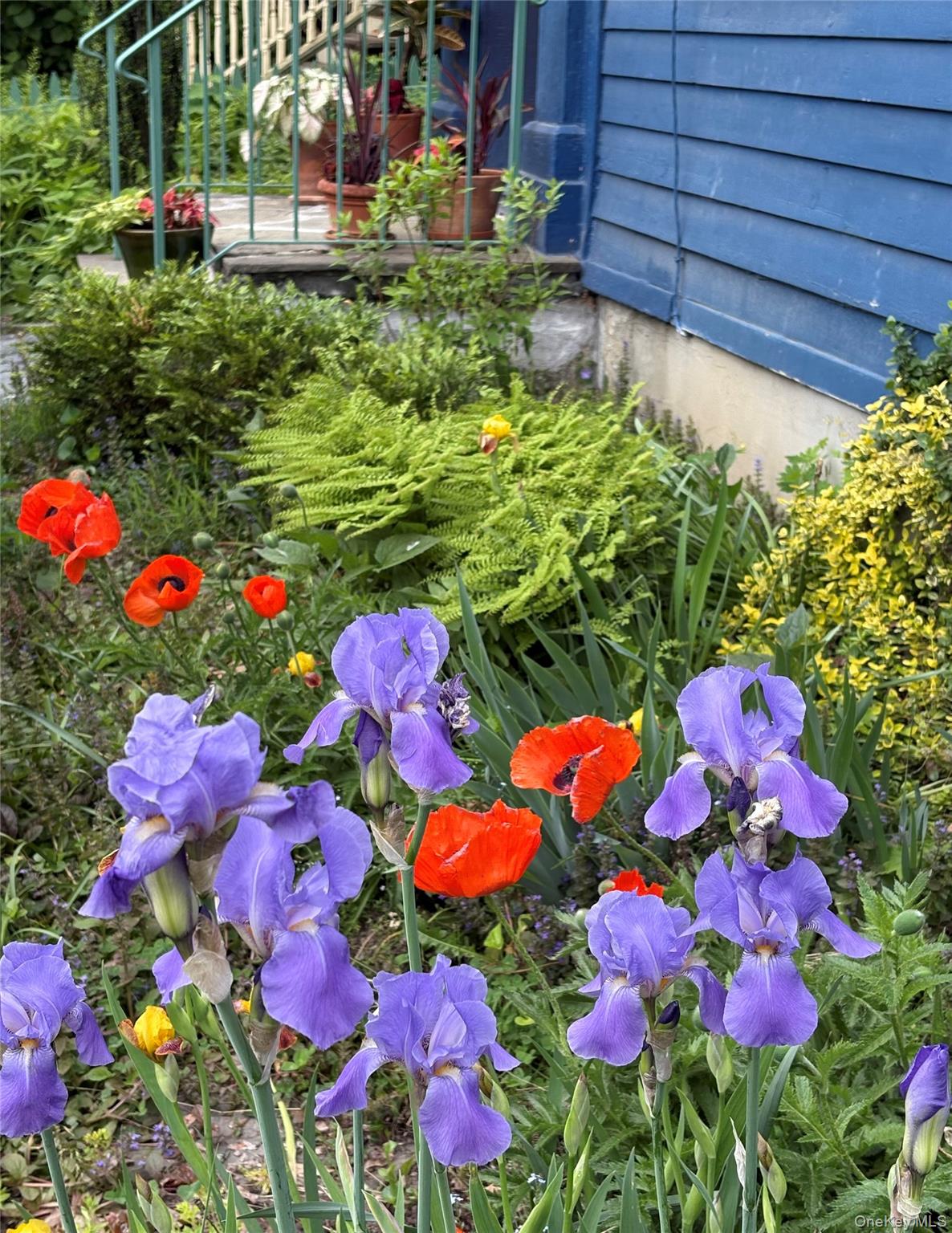 32 Carroll Street, Poughkeepsie, NY 12601