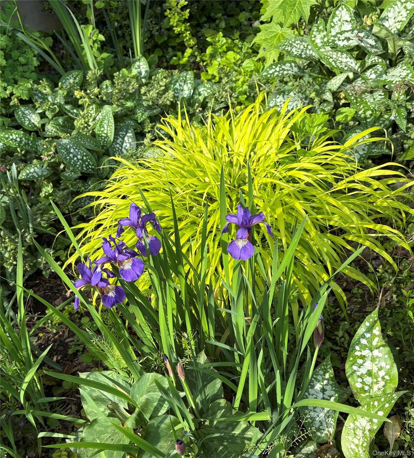 32 Carroll Street, Poughkeepsie, NY 12601