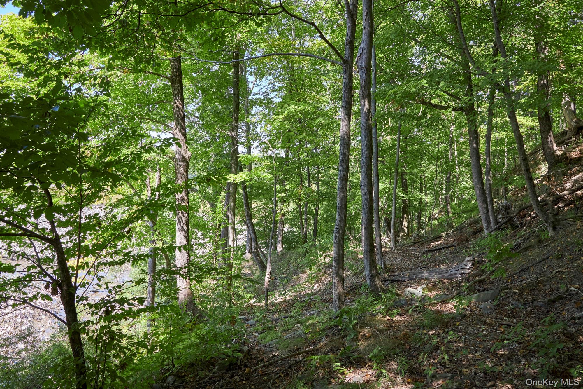 Mill Road, Rhinebeck, NY 12572