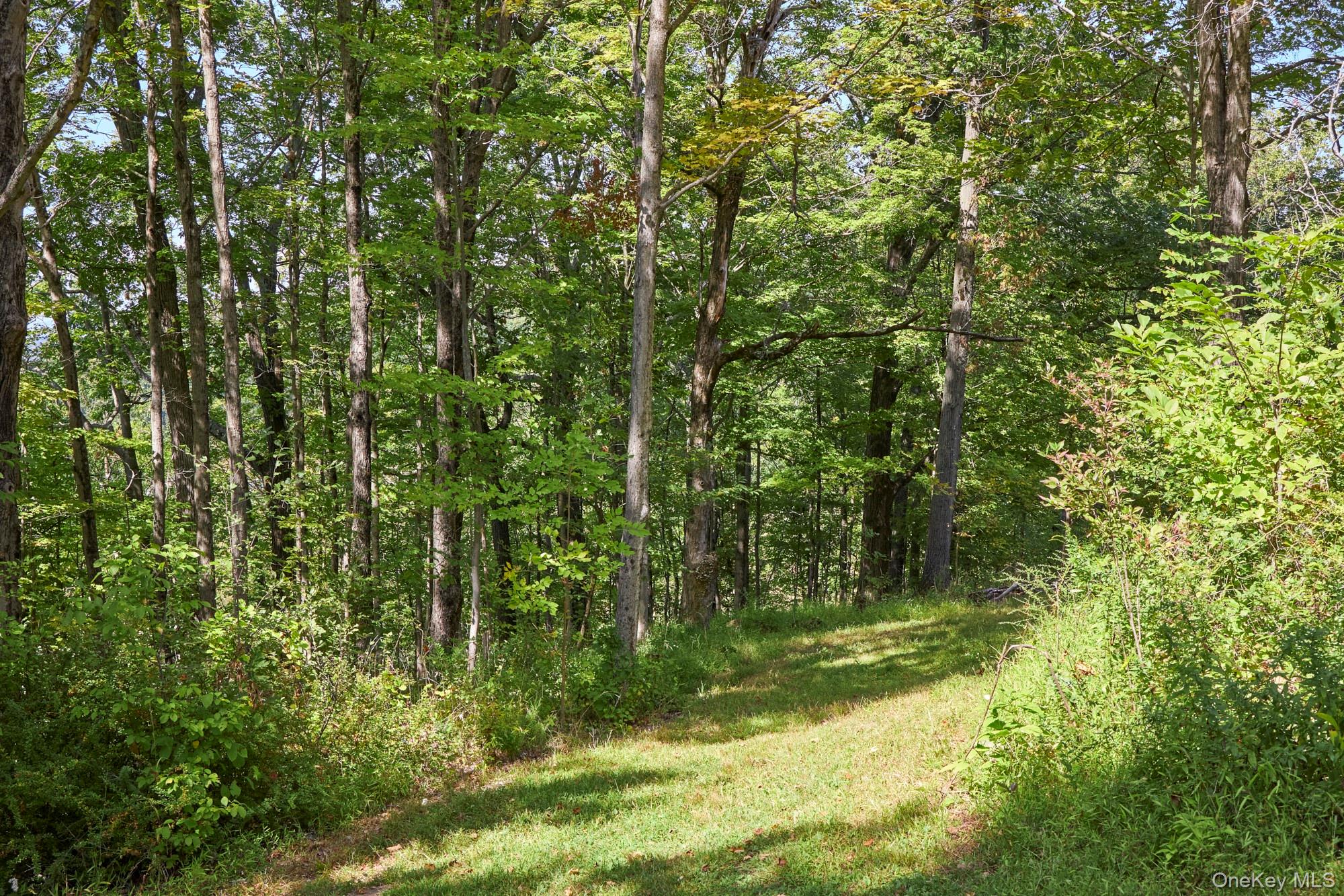 Mill Road, Rhinebeck, NY 12572