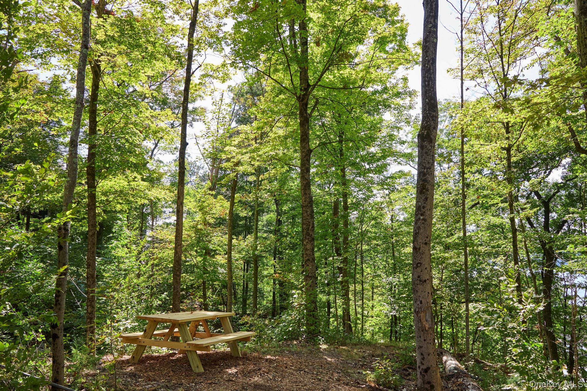 Mill Road, Rhinebeck, NY 12572