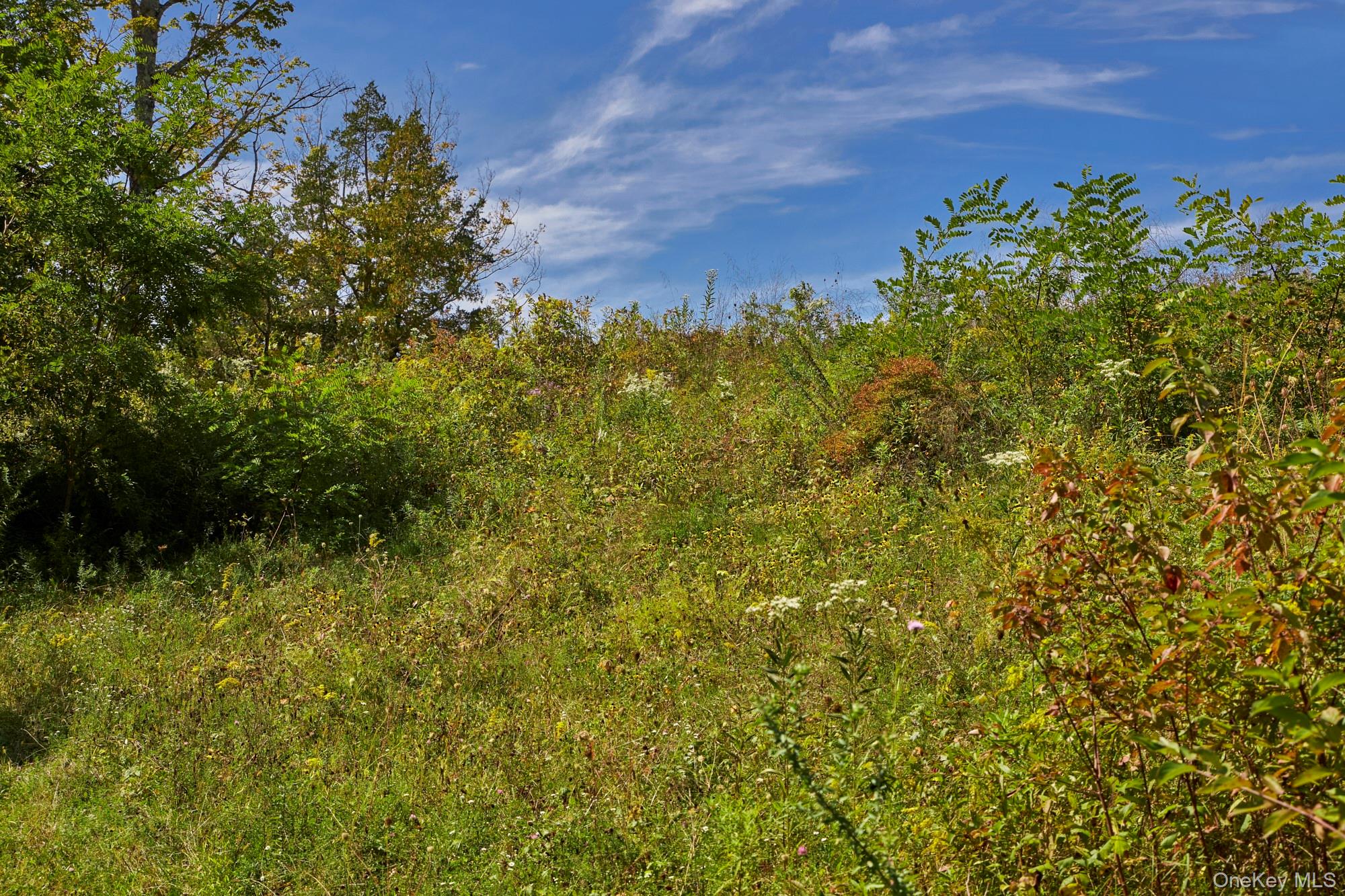 Mill Road, Rhinebeck, NY 12572