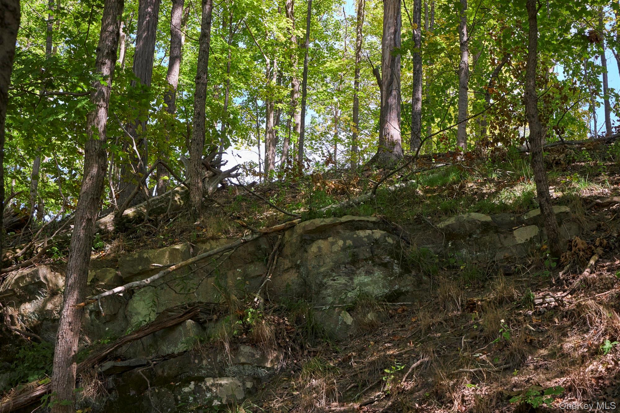 Mill Road, Rhinebeck, NY 12572