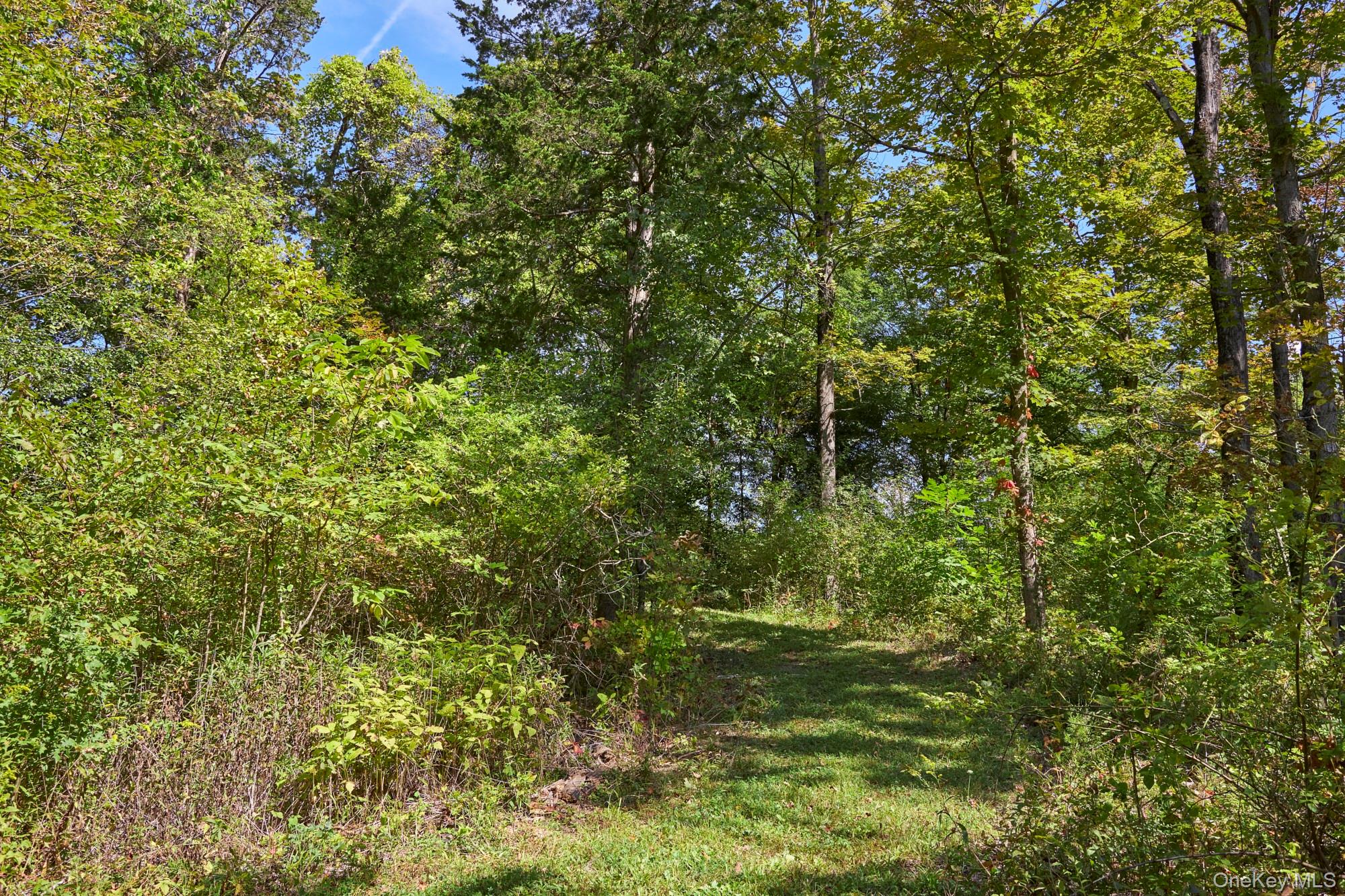 Mill Road, Rhinebeck, NY 12572