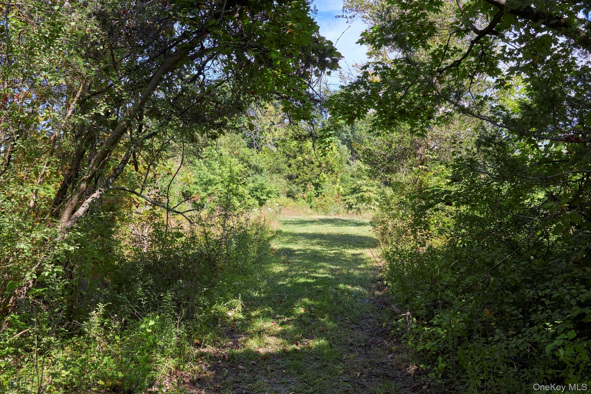 Mill Road, Rhinebeck, NY 12572