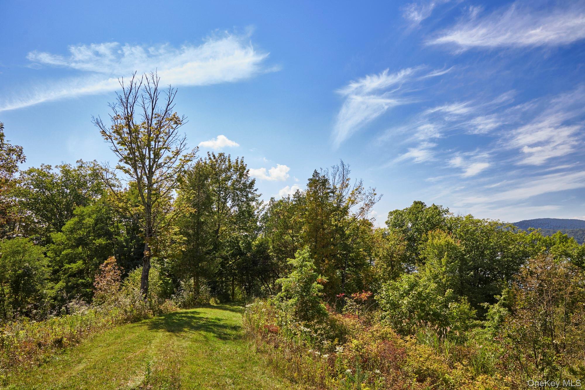 Mill Road, Rhinebeck, NY 12572