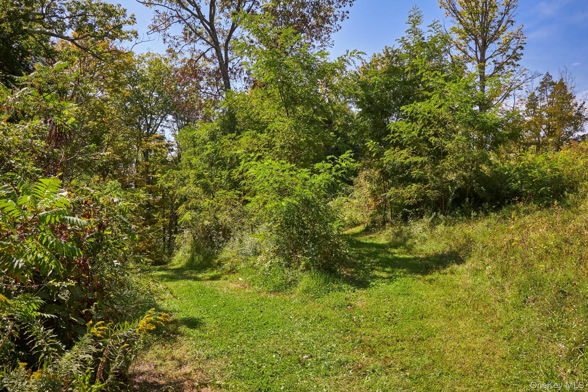 Mill Road, Rhinebeck, NY 12572