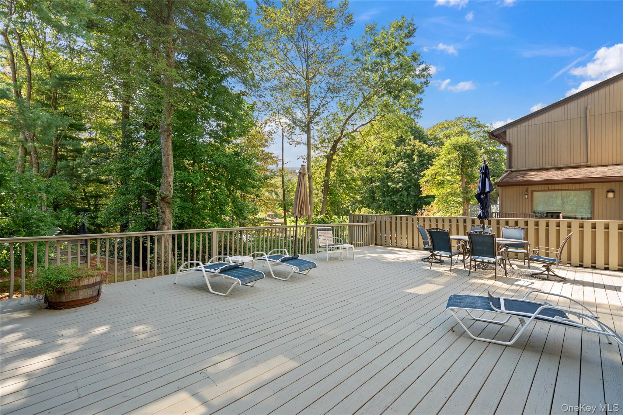 166 High Pond Drive, Jericho, NY 11753