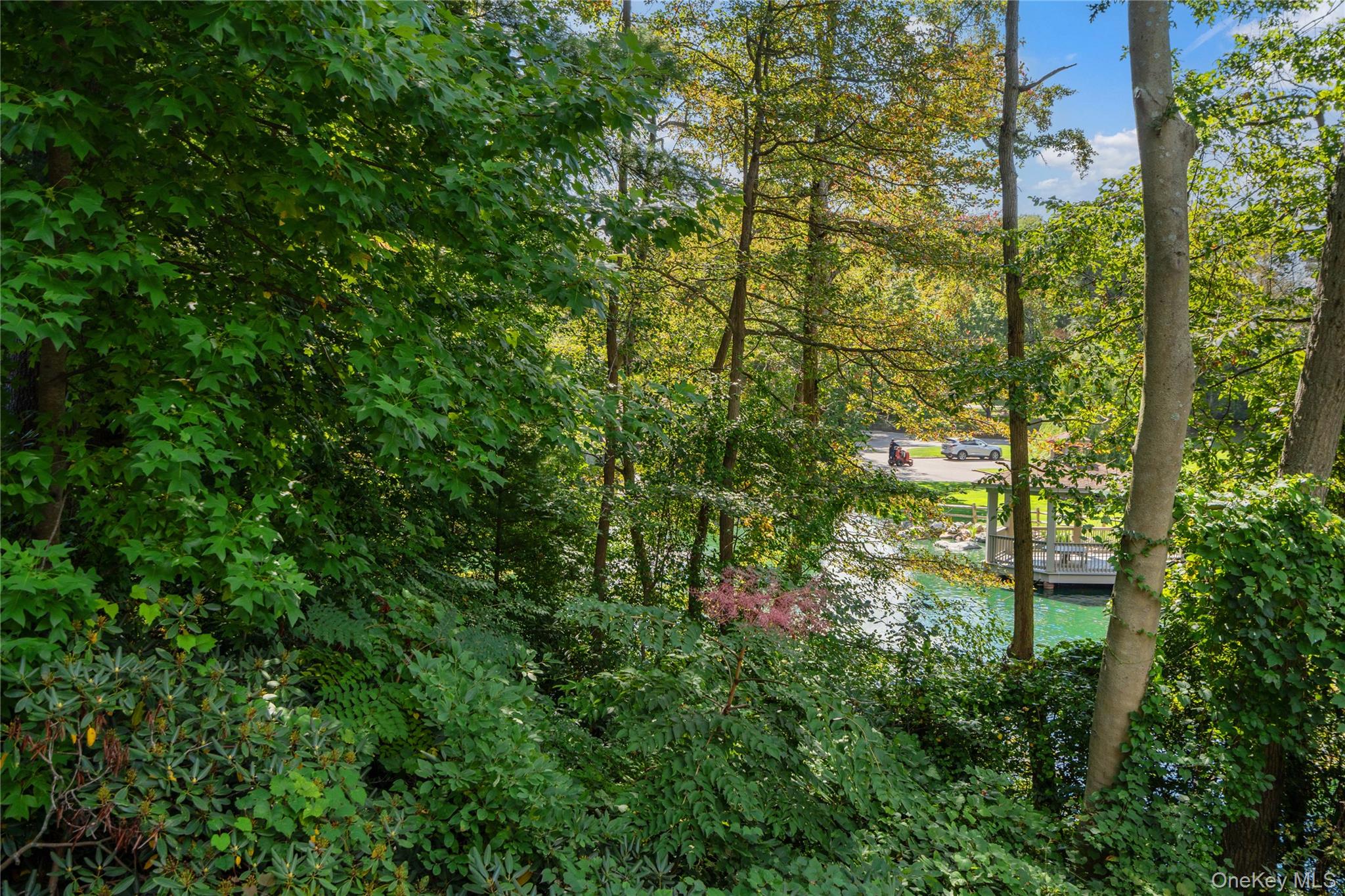 166 High Pond Drive, Jericho, NY 11753