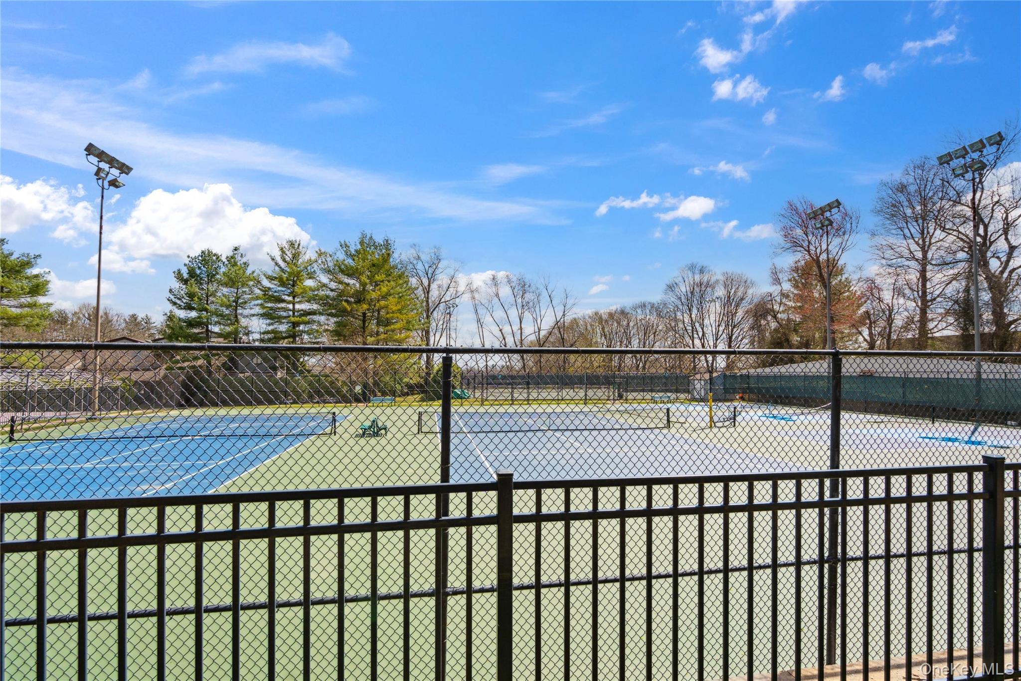 166 High Pond Drive, Jericho, NY 11753