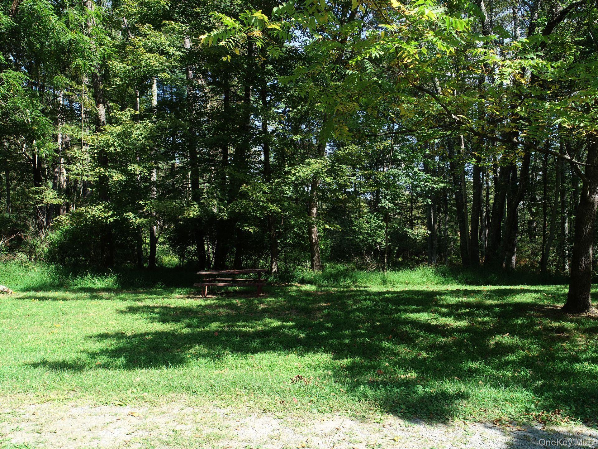 00 Phillipsport Road, Wurtsboro, NY 12790