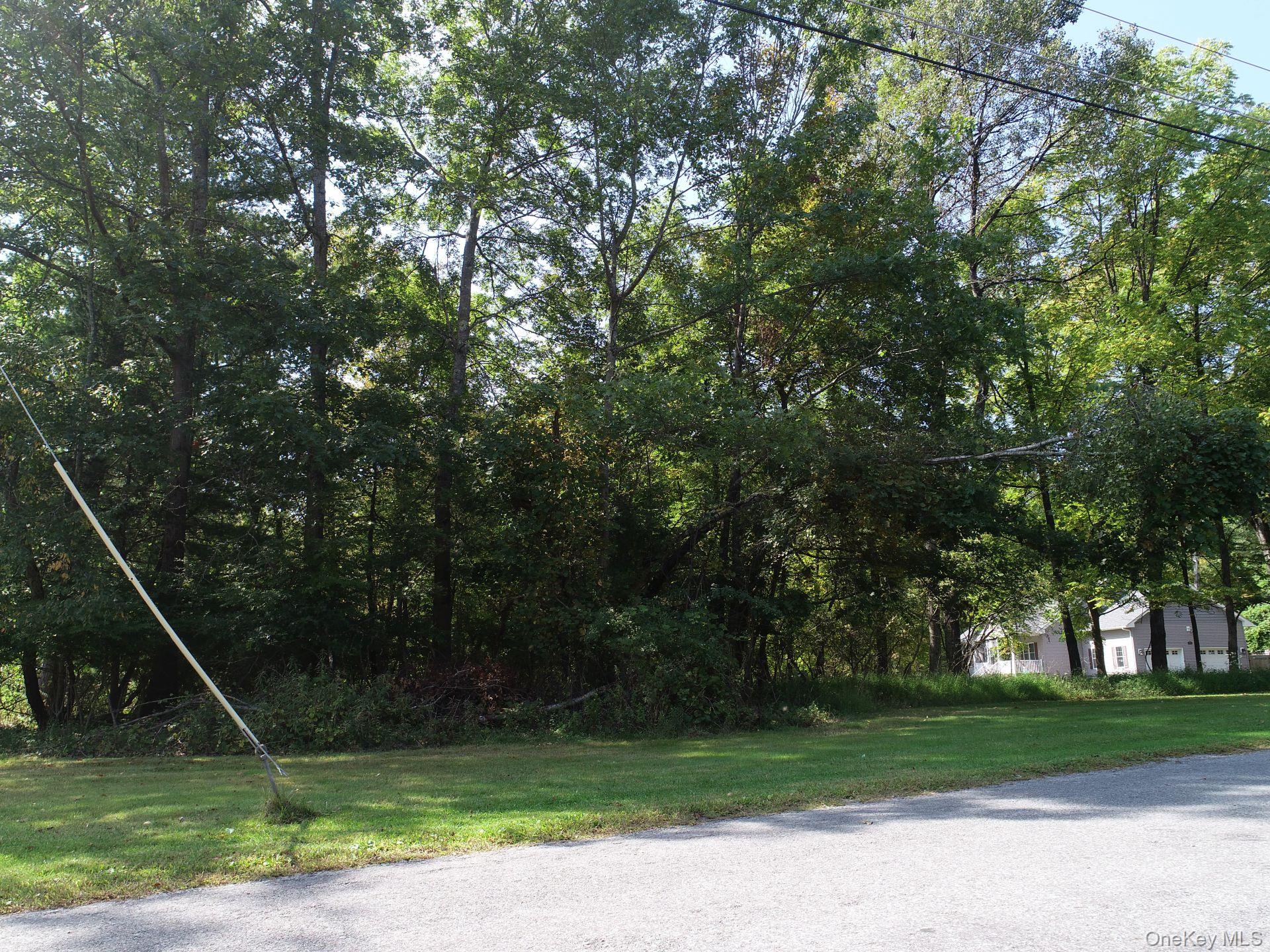 00 Phillipsport Road, Wurtsboro, NY 12790