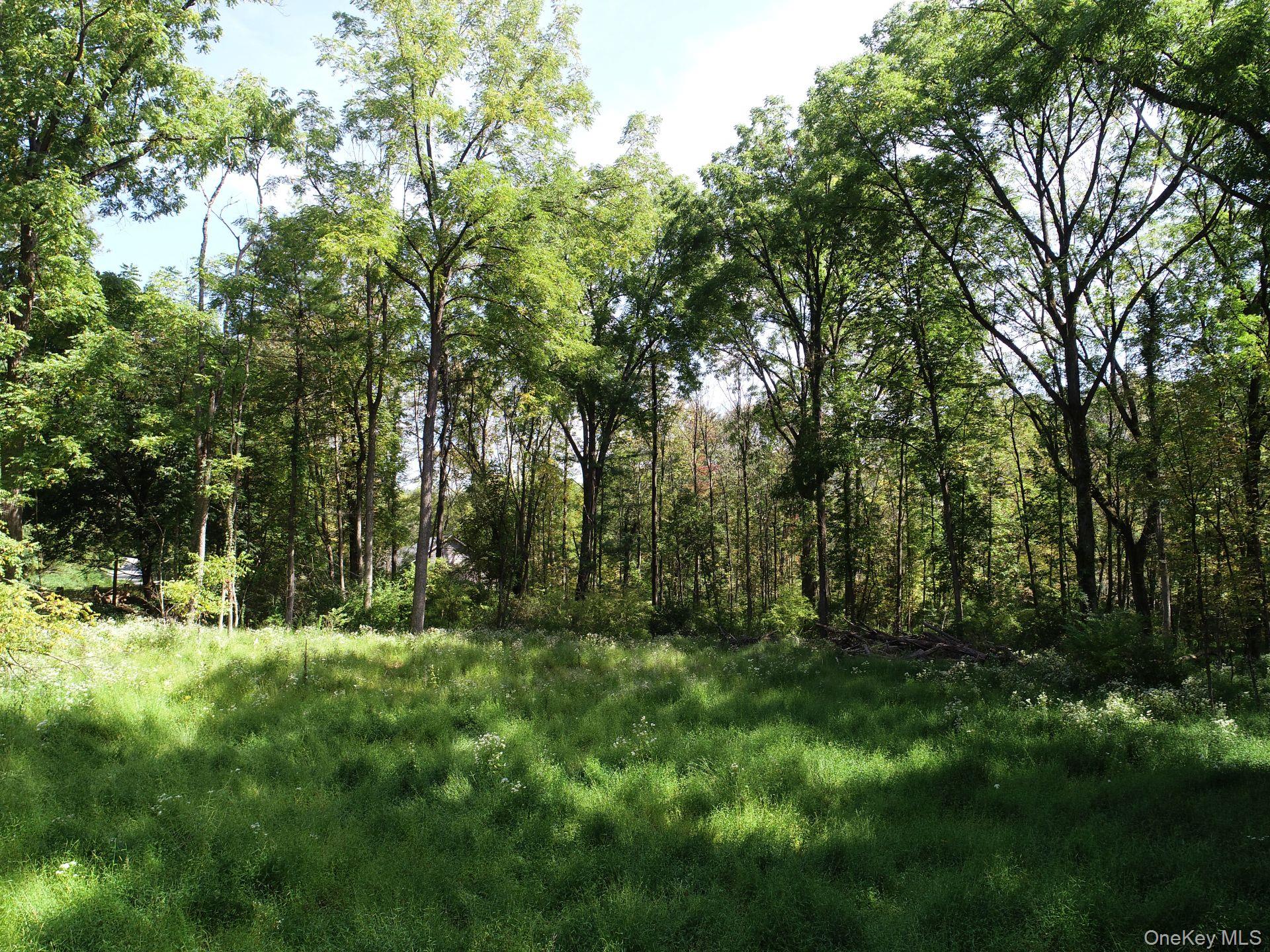 00 Phillipsport Road, Wurtsboro, NY 12790