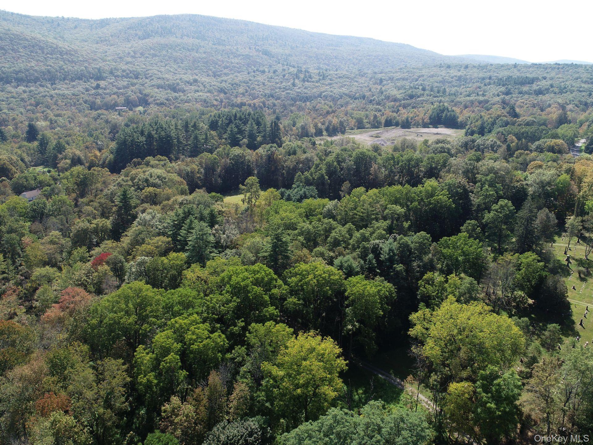 00 Phillipsport Road, Wurtsboro, NY 12790