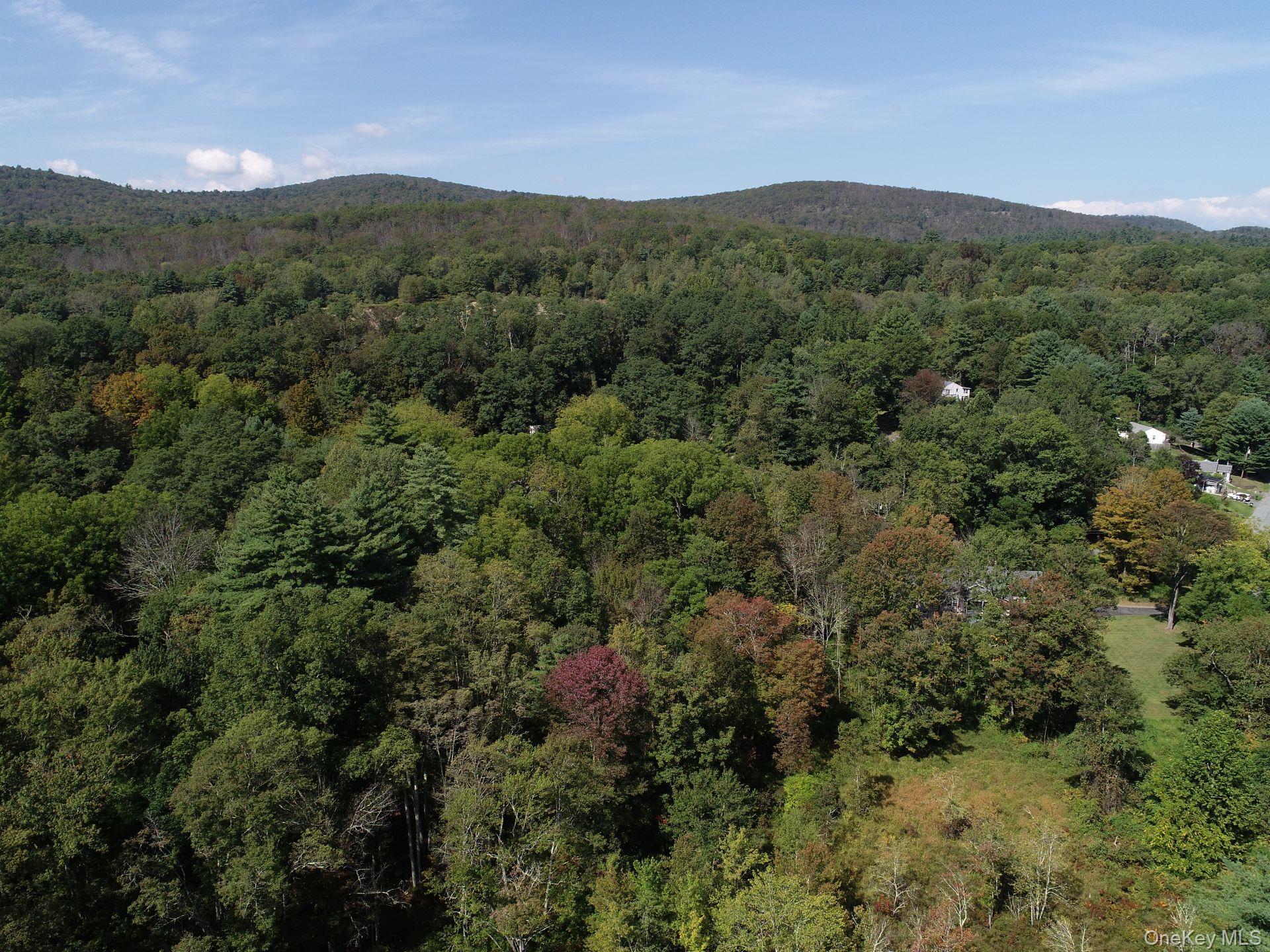 00 Phillipsport Road, Wurtsboro, NY 12790