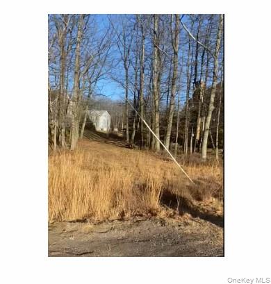 161 Muirfield Lane, Other, PA 18202