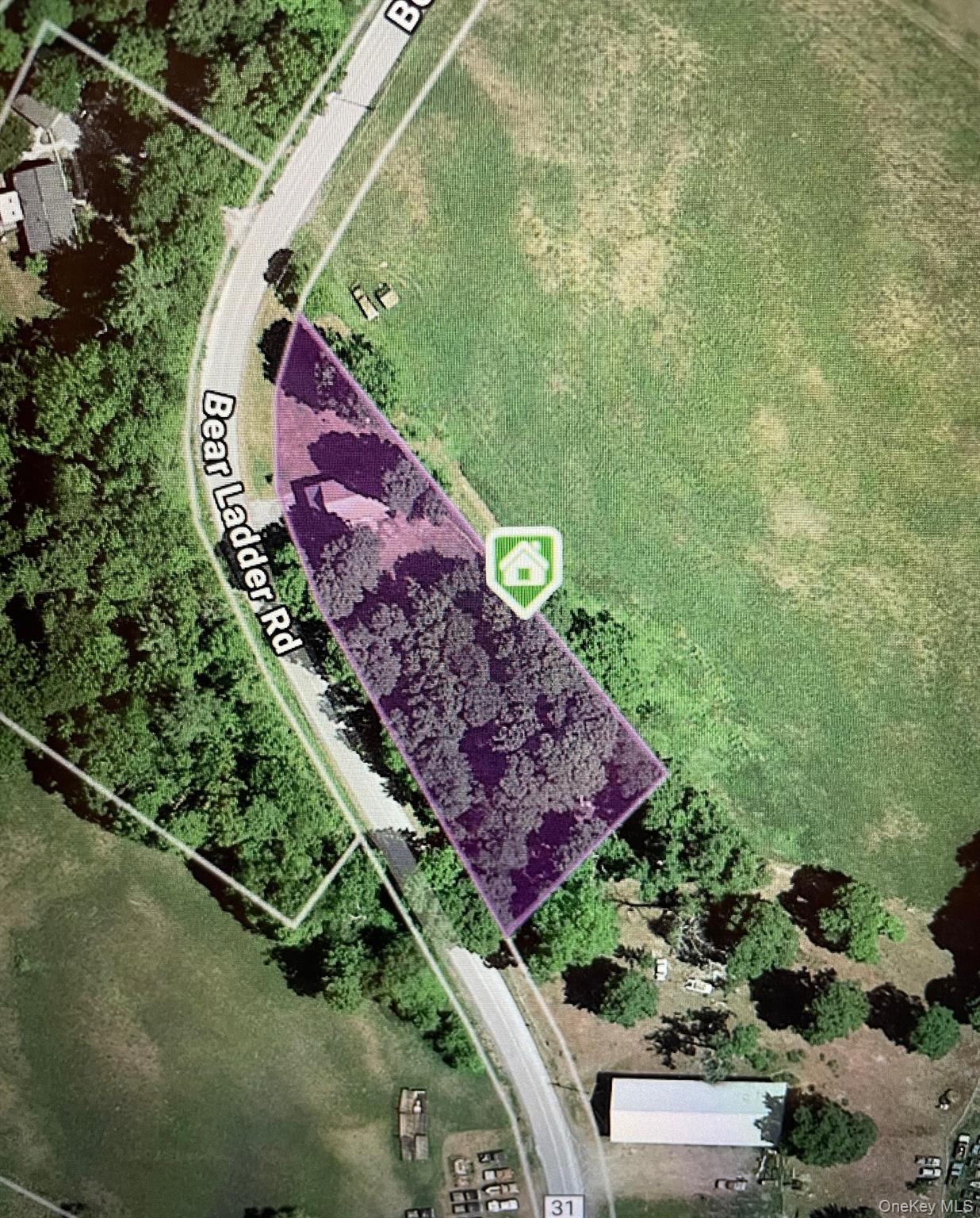 590 Bear Ladder Road, Call Listing Agent, NY 12194