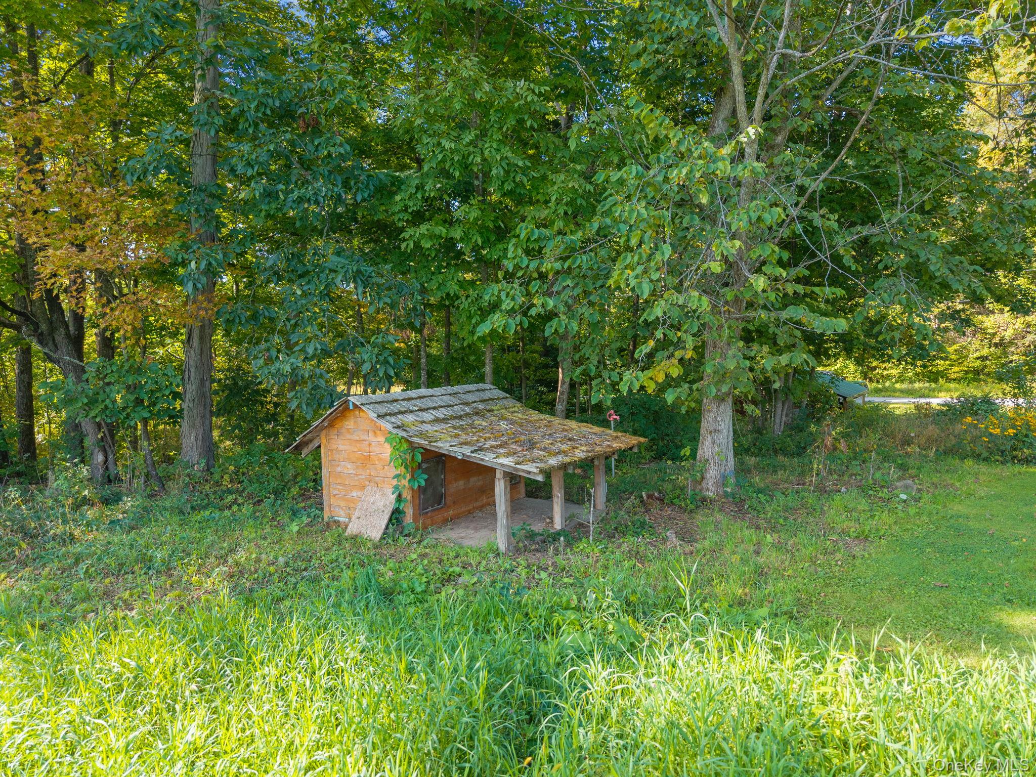 590 Bear Ladder Road, Call Listing Agent, NY 12194