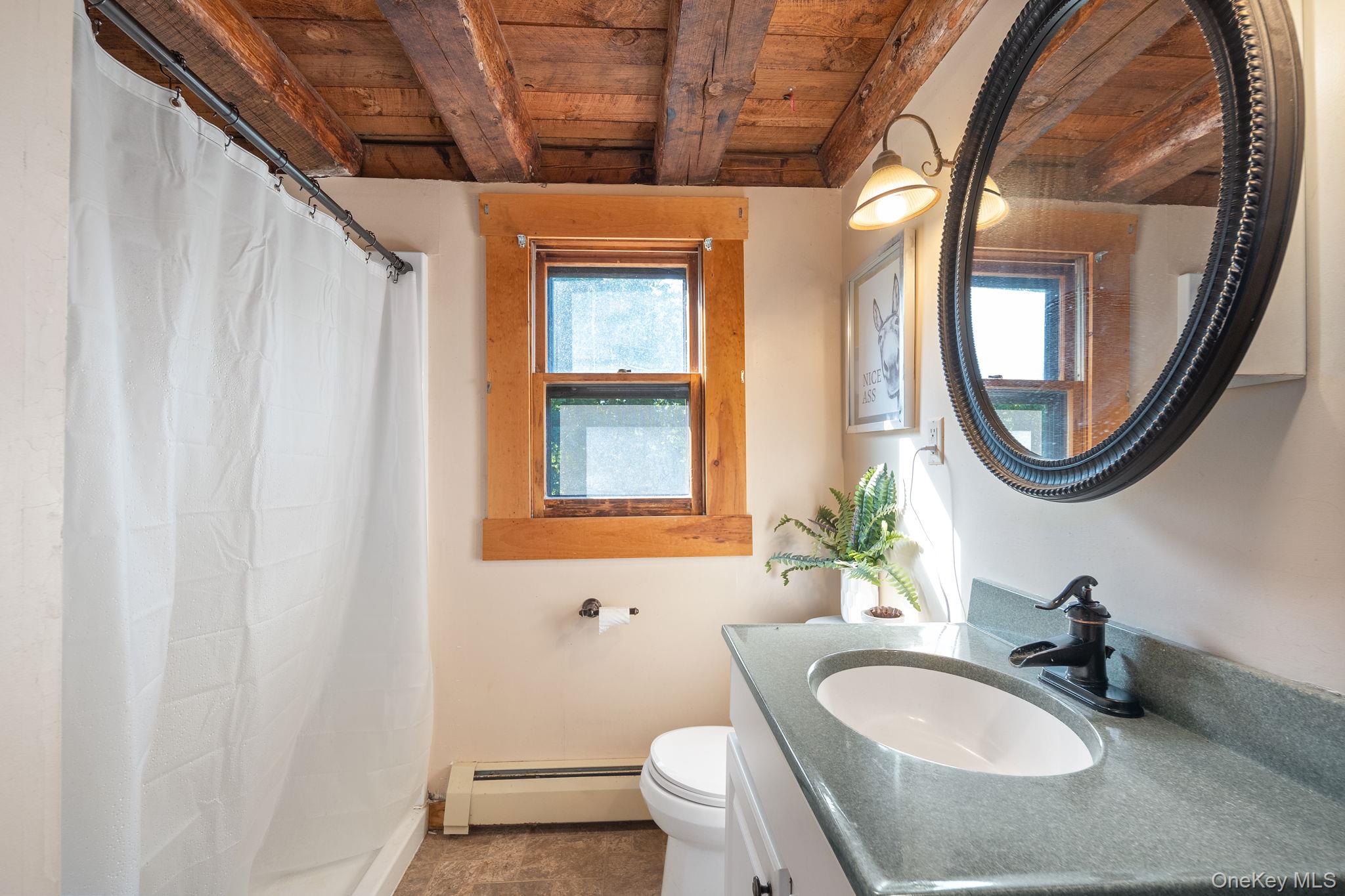 590 Bear Ladder Road, Call Listing Agent, NY 12194