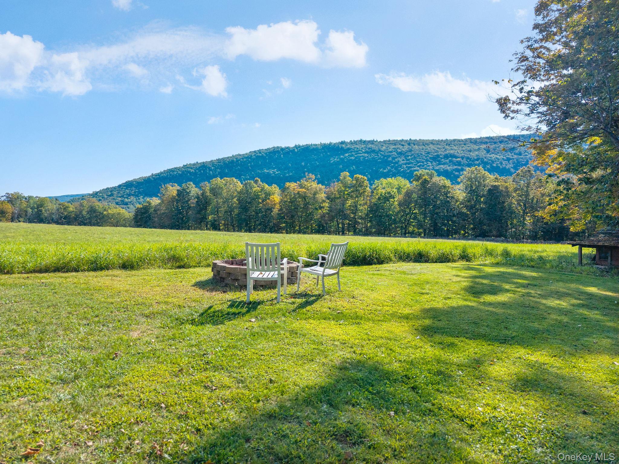 590 Bear Ladder Road, Call Listing Agent, NY 12194