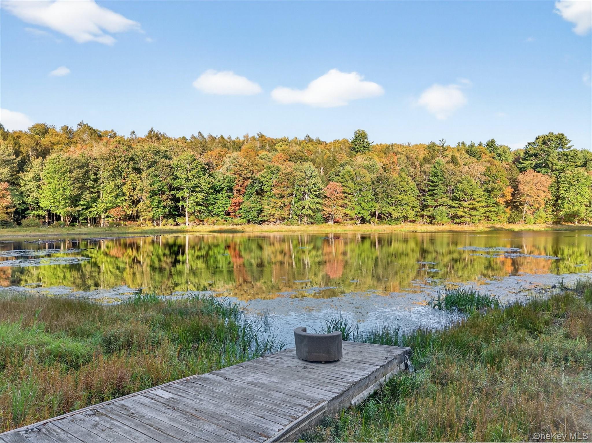 358 Horseshoe Lake Road, Swan Lake, NY 12783