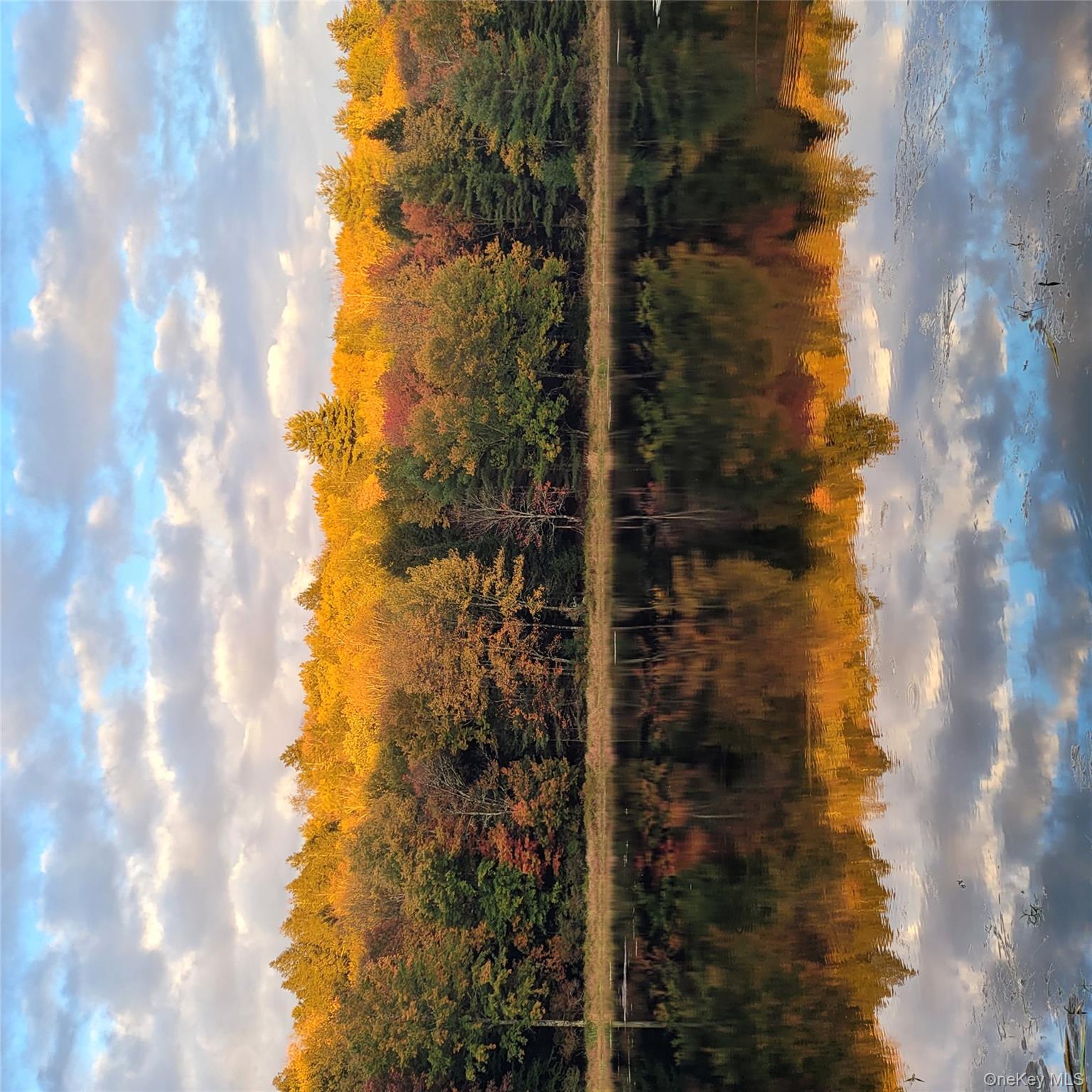 358 Horseshoe Lake Road, Swan Lake, NY 12783