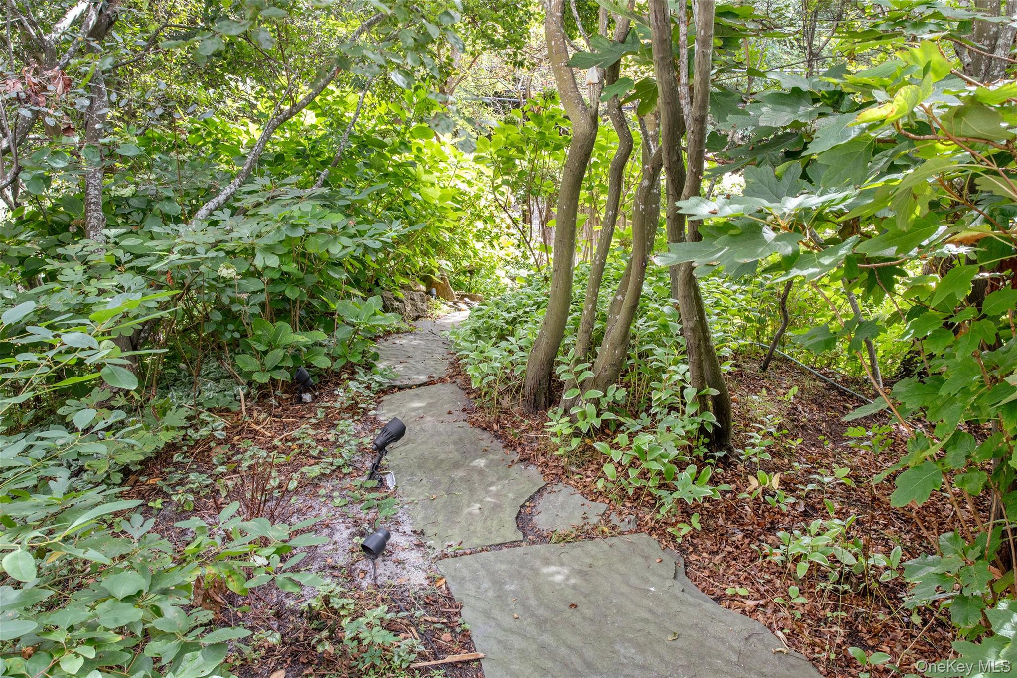 529 Sail Walk, Fire Island Pines, NY 11782