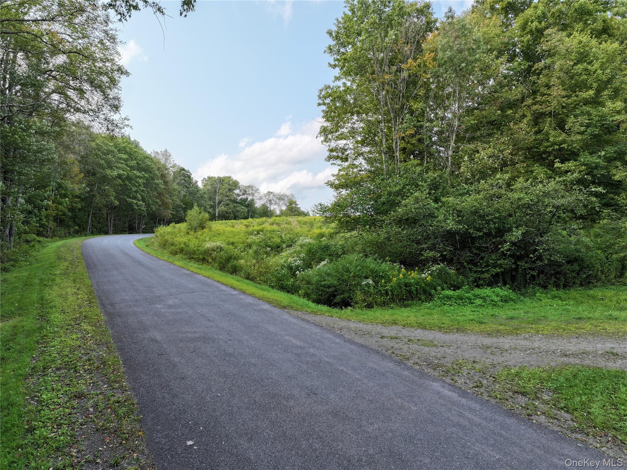 1990 Finch Hollow Road, Walton, NY 13856