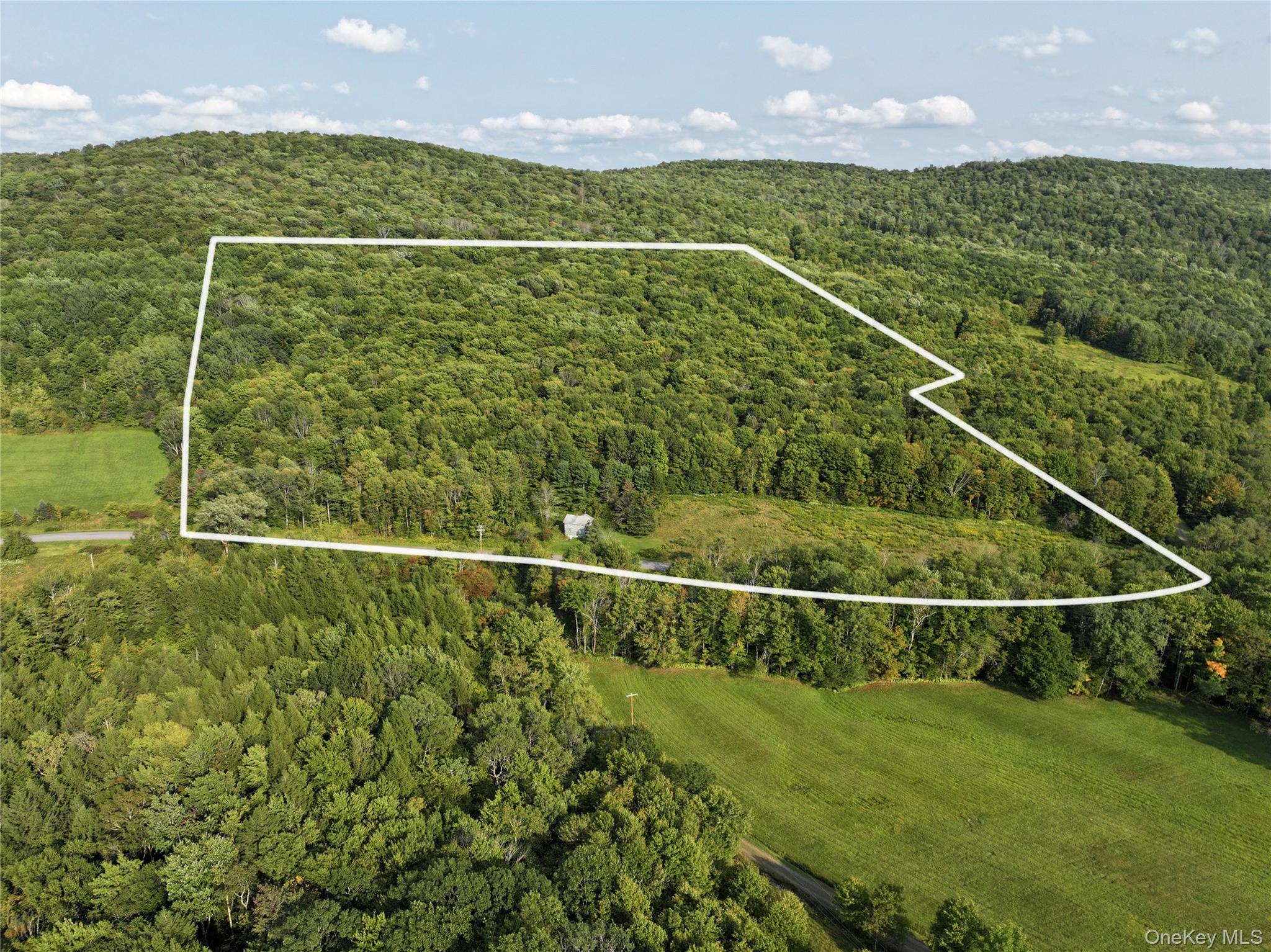 1990 Finch Hollow Road, Walton, NY 13856