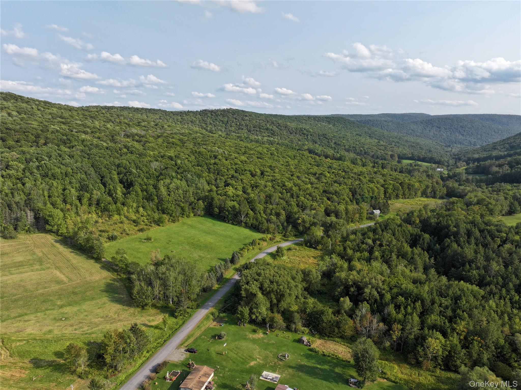 1990 Finch Hollow Road, Walton, NY 13856