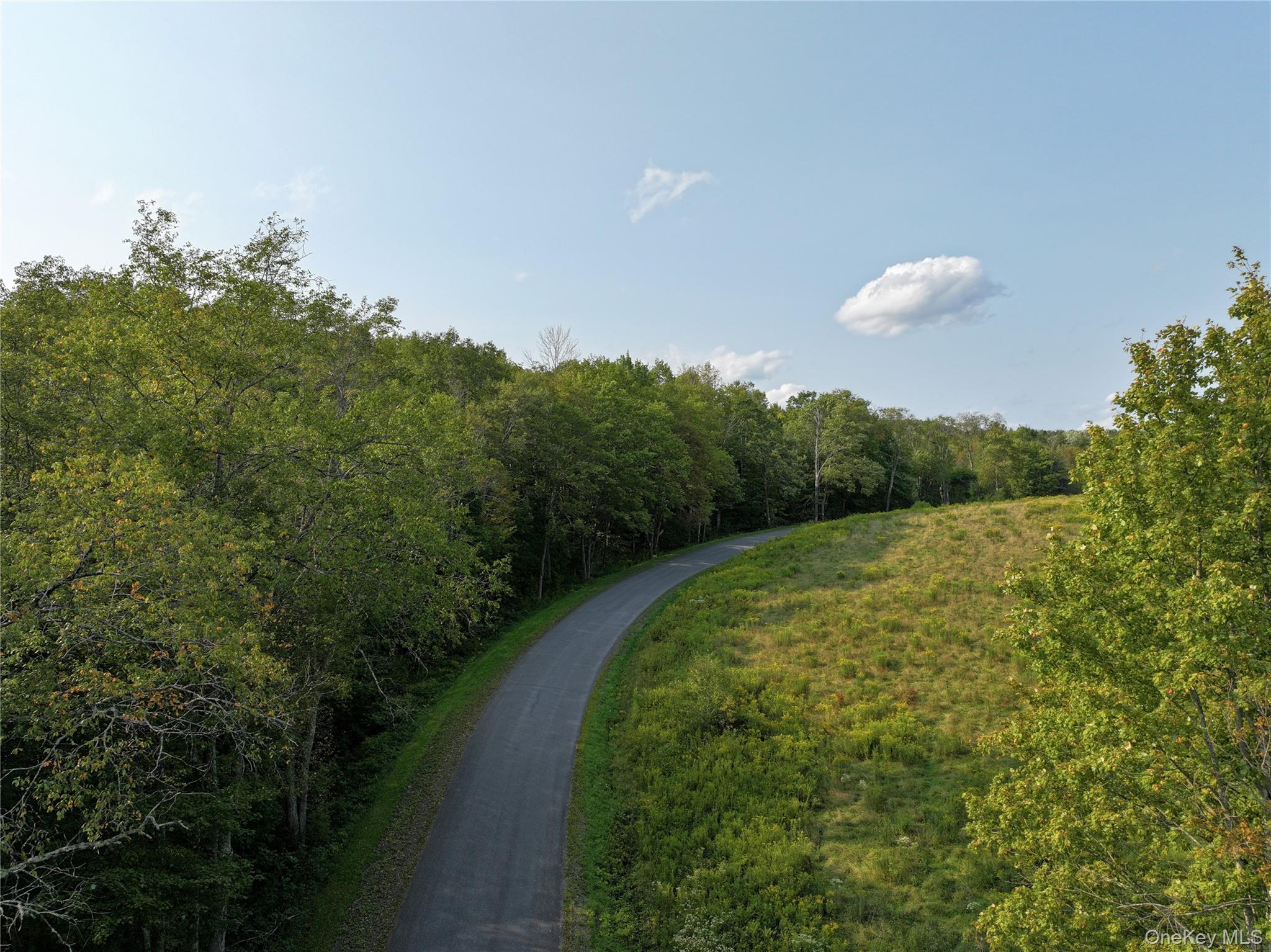 1990 Finch Hollow Road, Walton, NY 13856