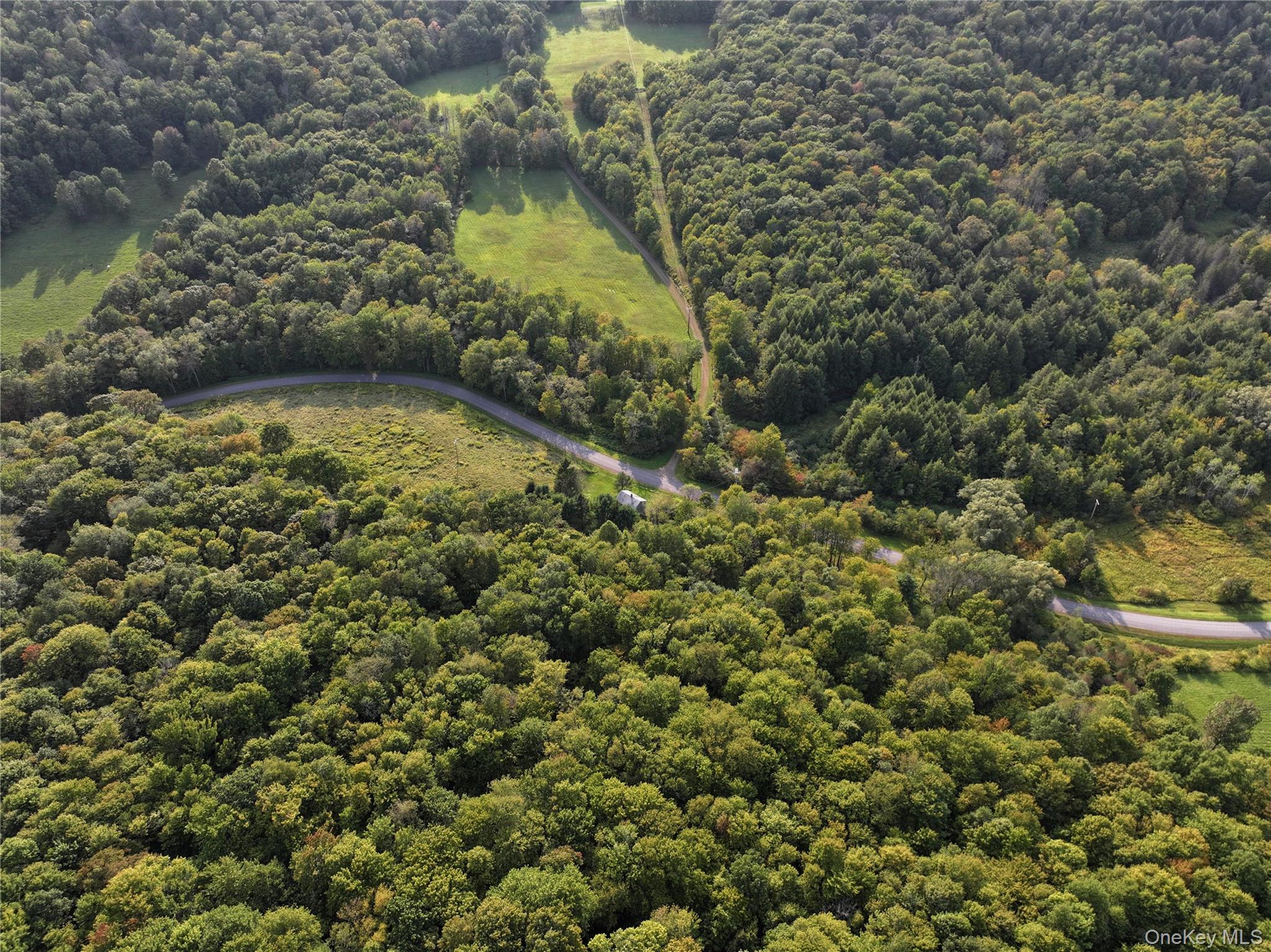 1990 Finch Hollow Road, Walton, NY 13856