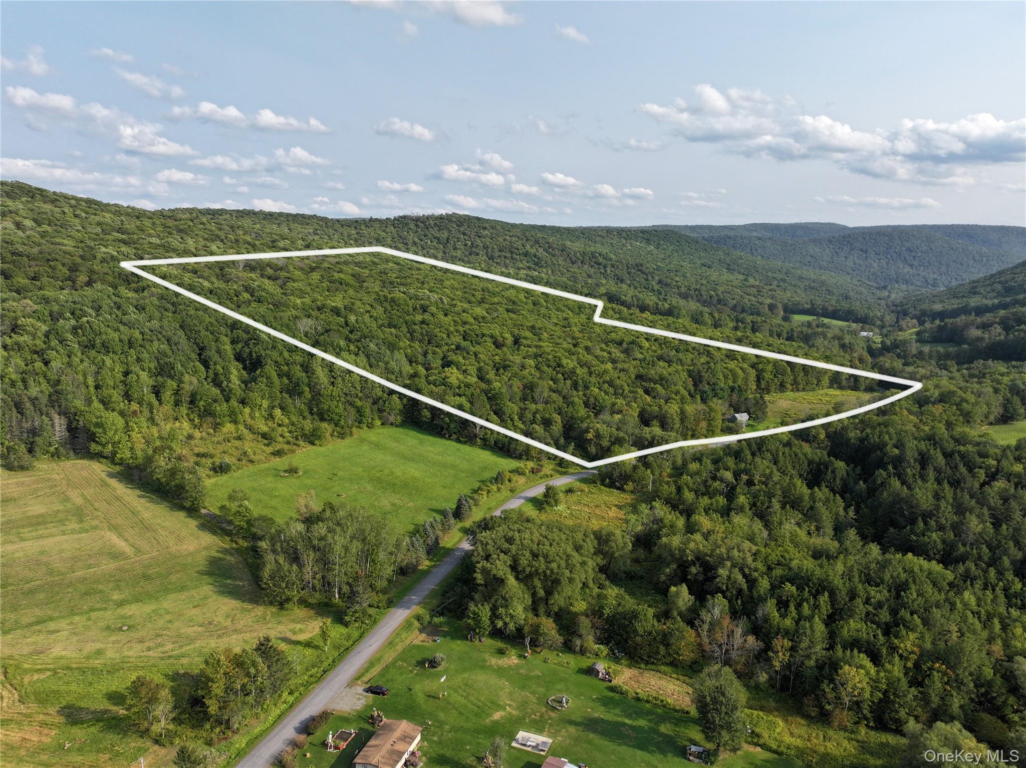 1990 Finch Hollow Road, Walton, NY 13856