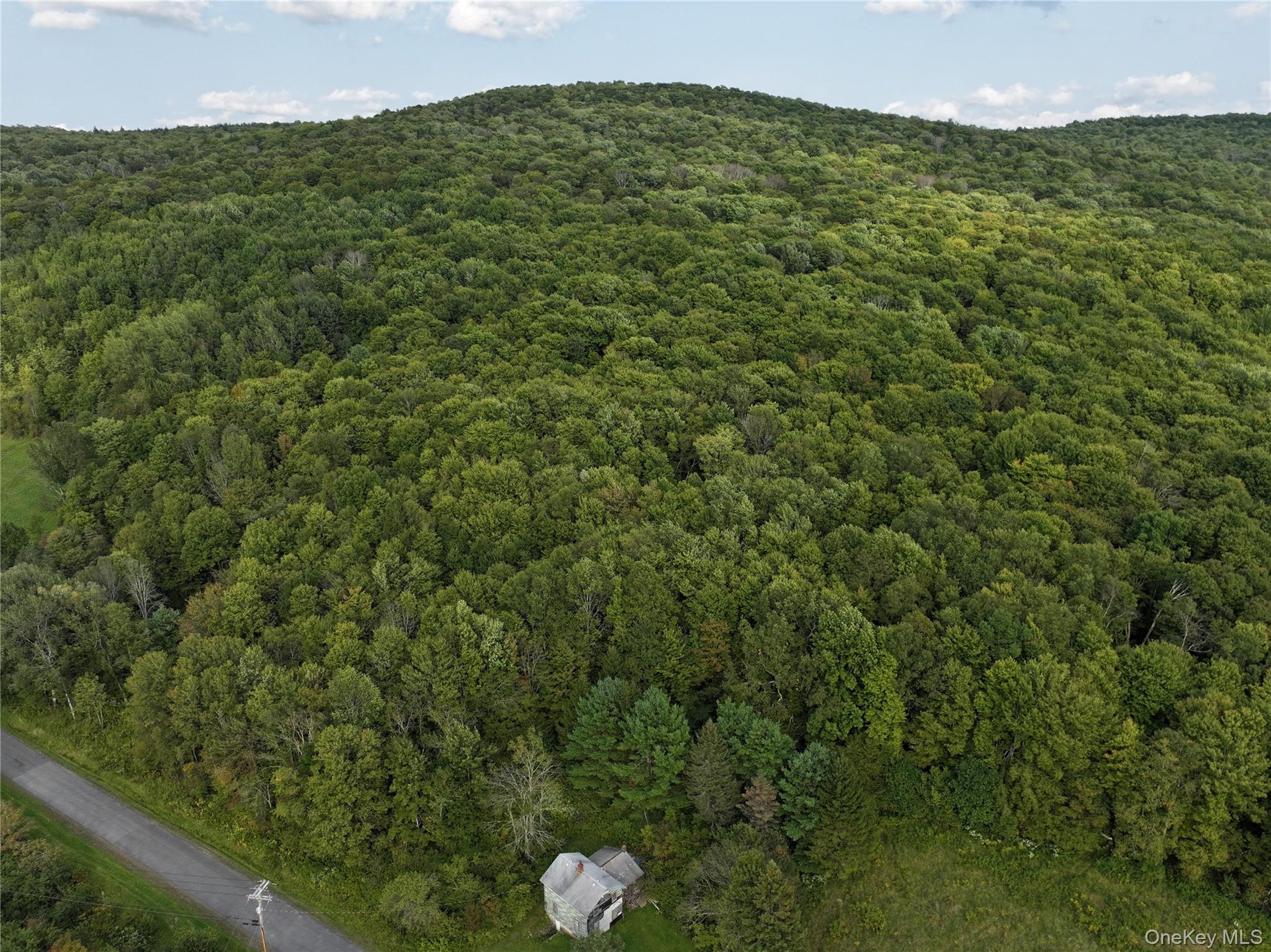 1990 Finch Hollow Road, Walton, NY 13856