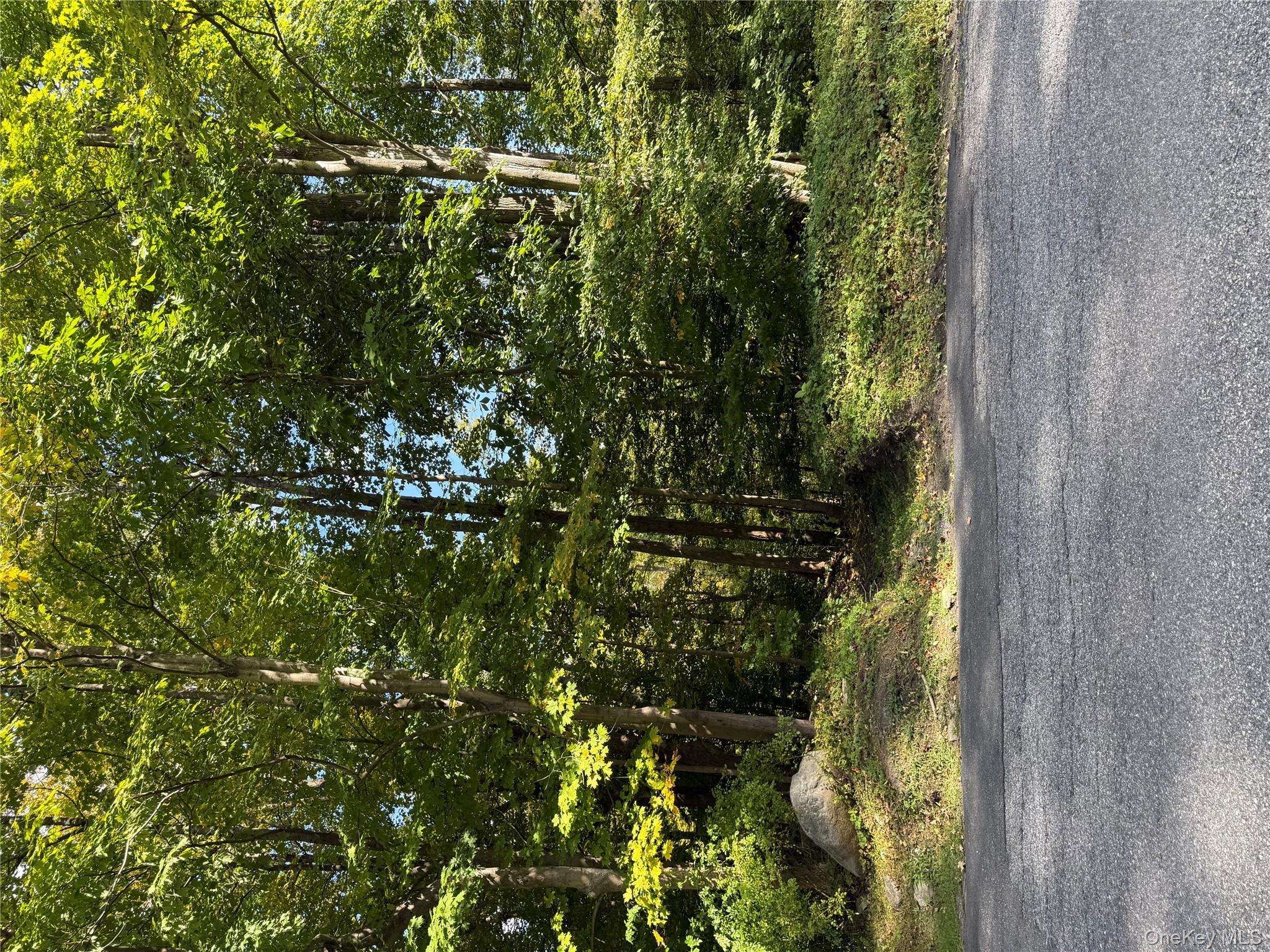 Ludington, Carmel, NY 10512