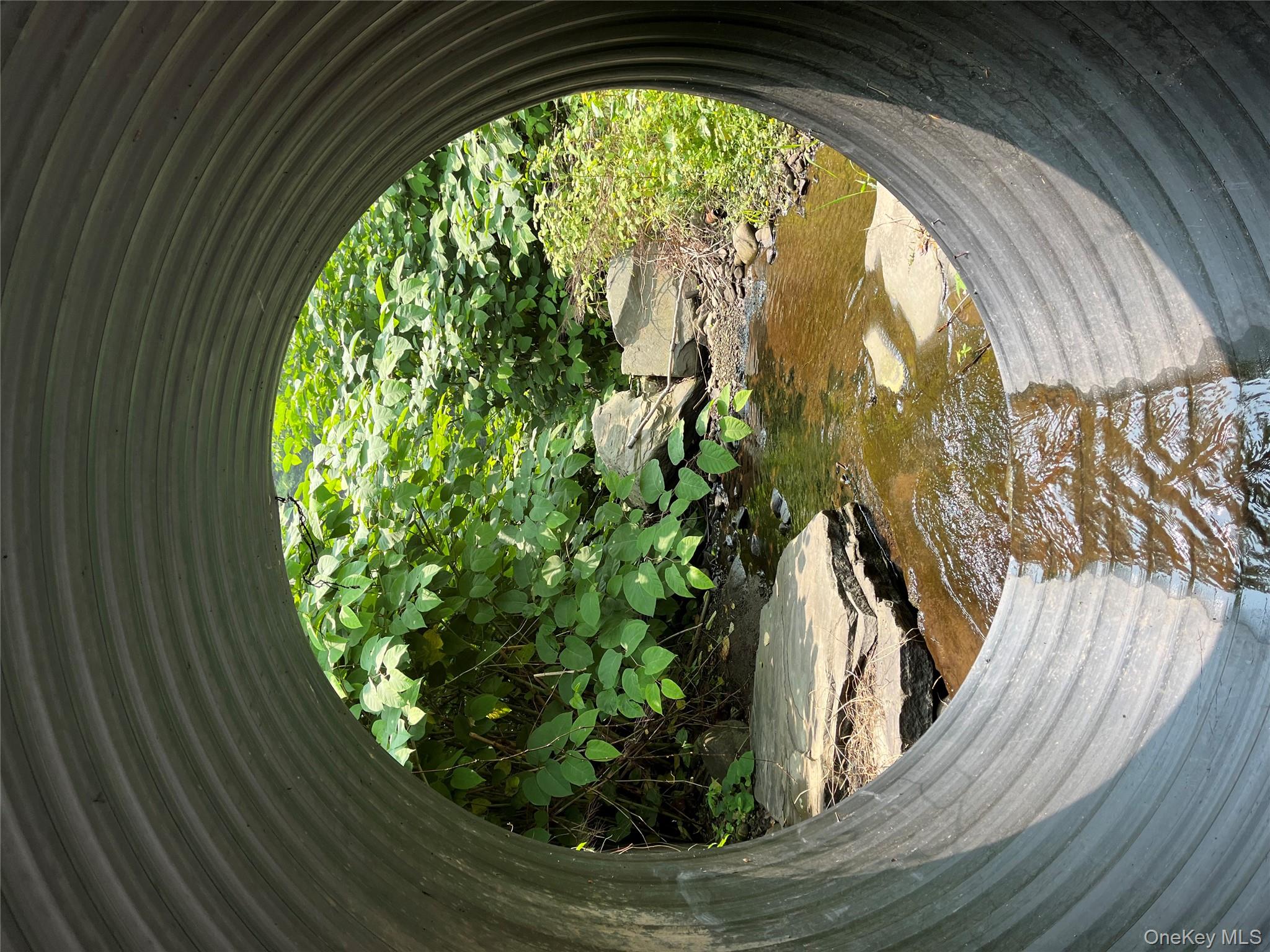 Hood Road, Roscoe, NY 12776