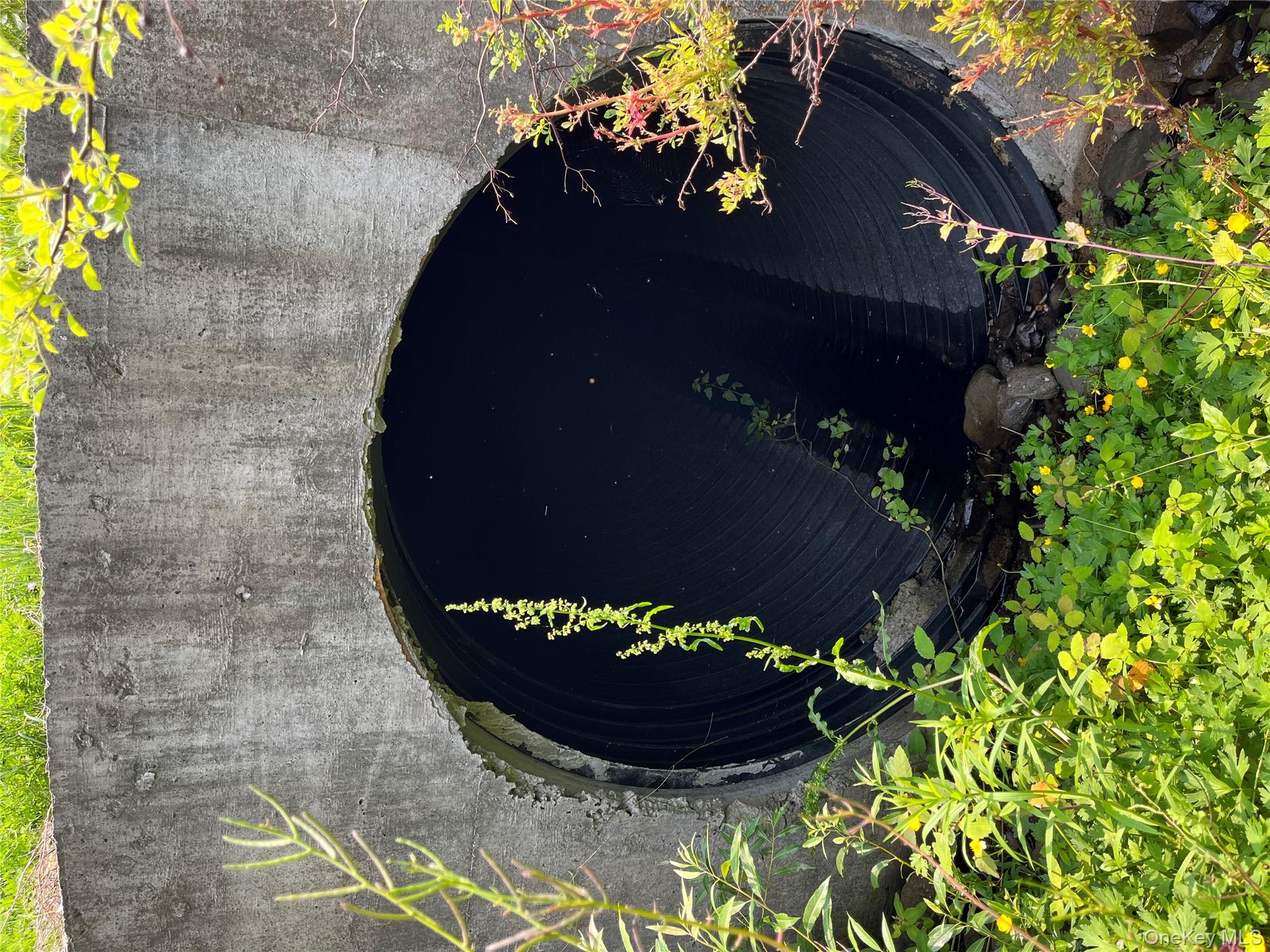 Hood Road, Roscoe, NY 12776