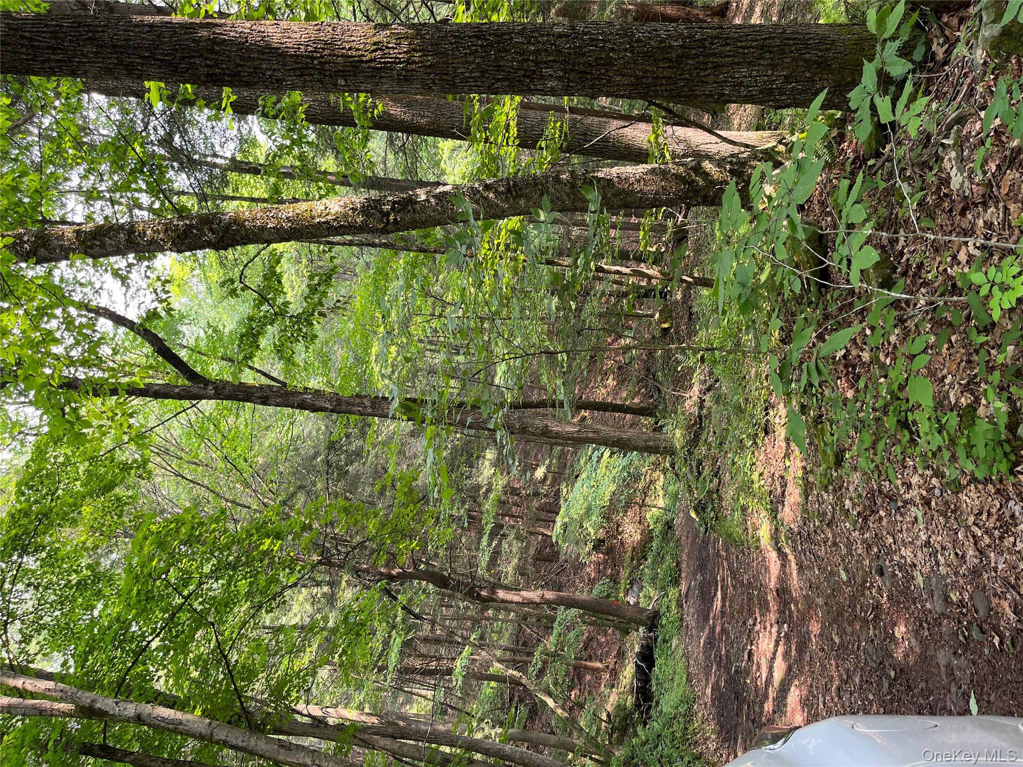 Hood Road, Roscoe, NY 12776