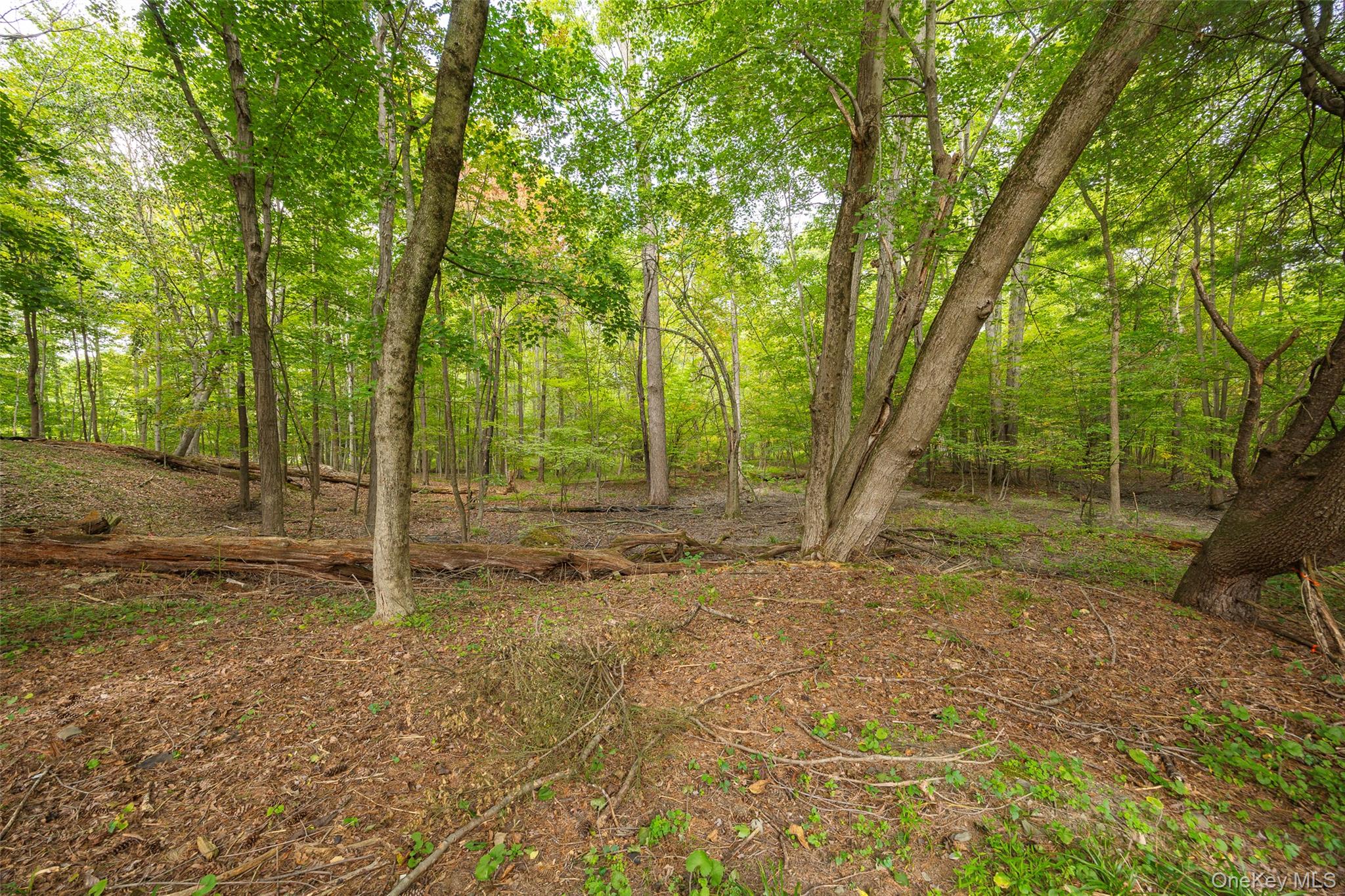 26 Hampton Road, Poughkeepsie, NY 12603