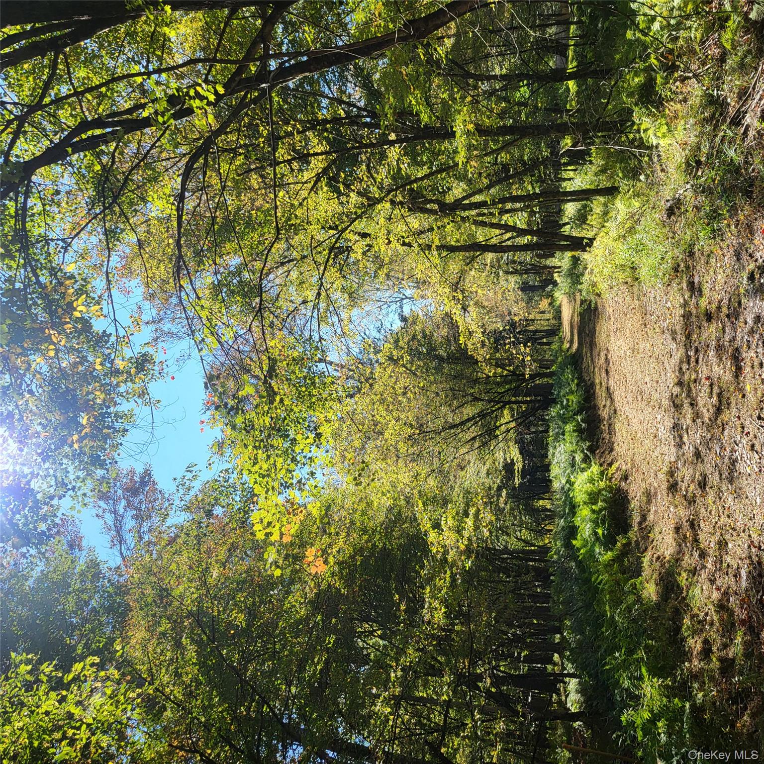 TBD Stephenson Road, Swan Lake, NY 12720