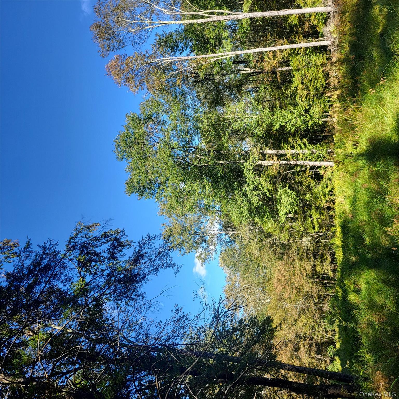 TBD Stephenson Road, Swan Lake, NY 12720