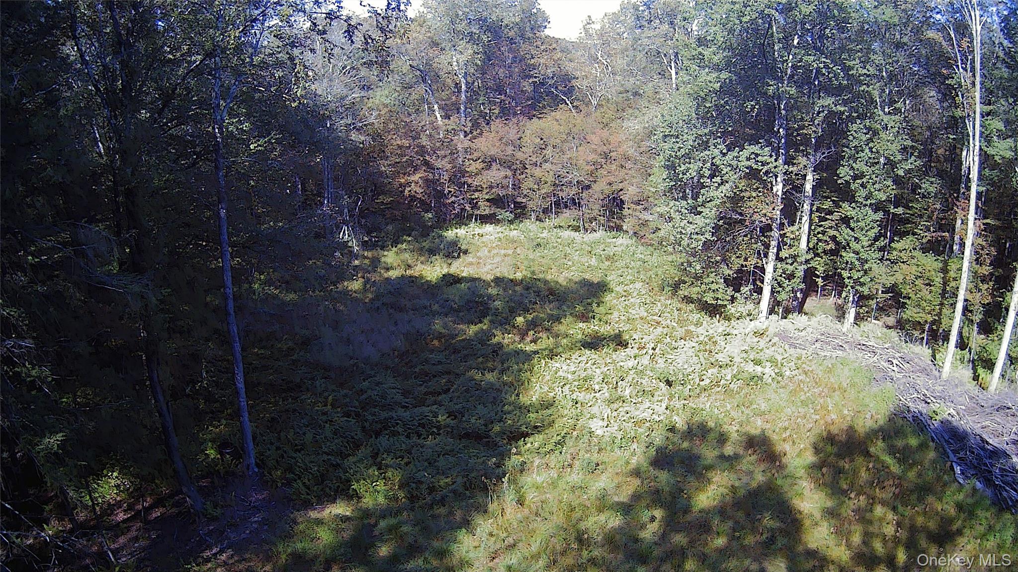 TBD Stephenson Road, Swan Lake, NY 12720