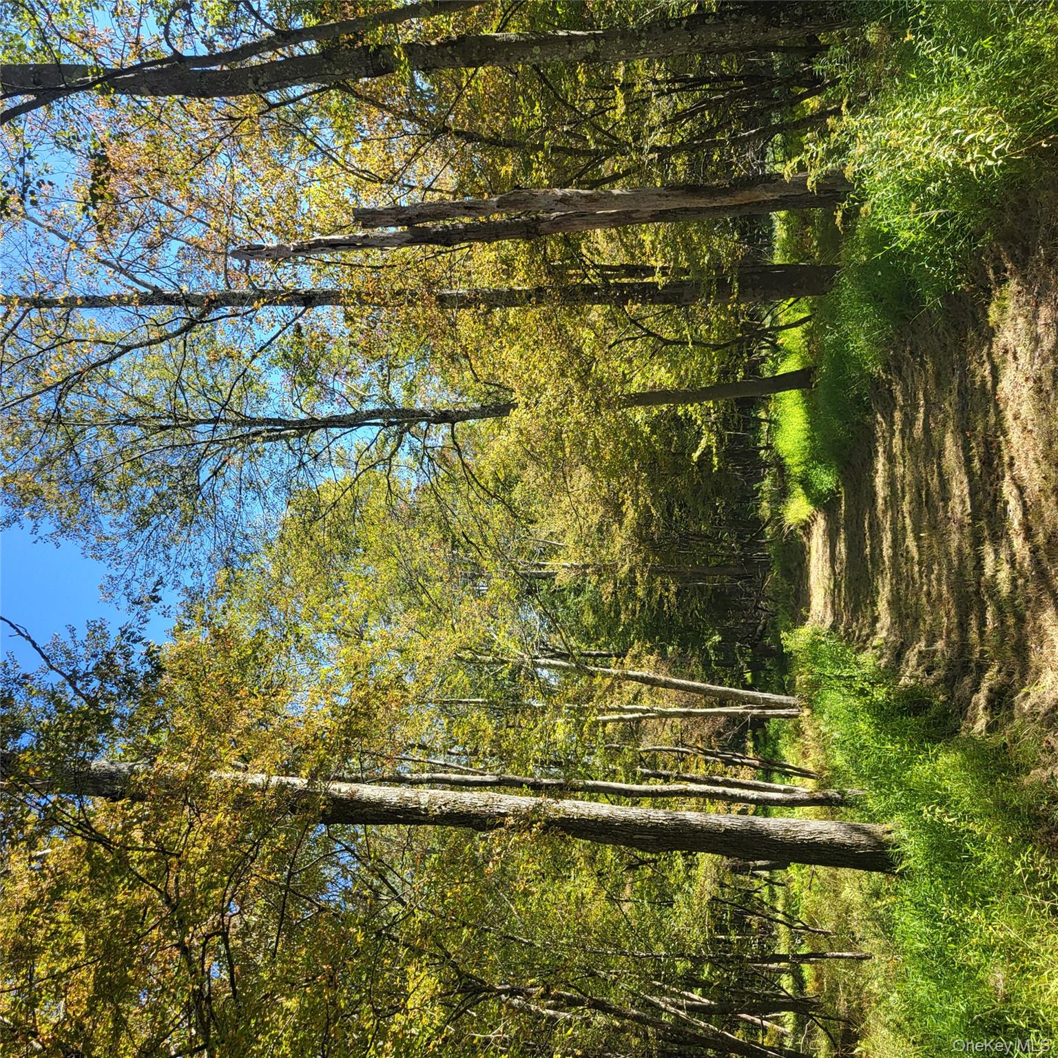 TBD Stephenson Road, Swan Lake, NY 12720